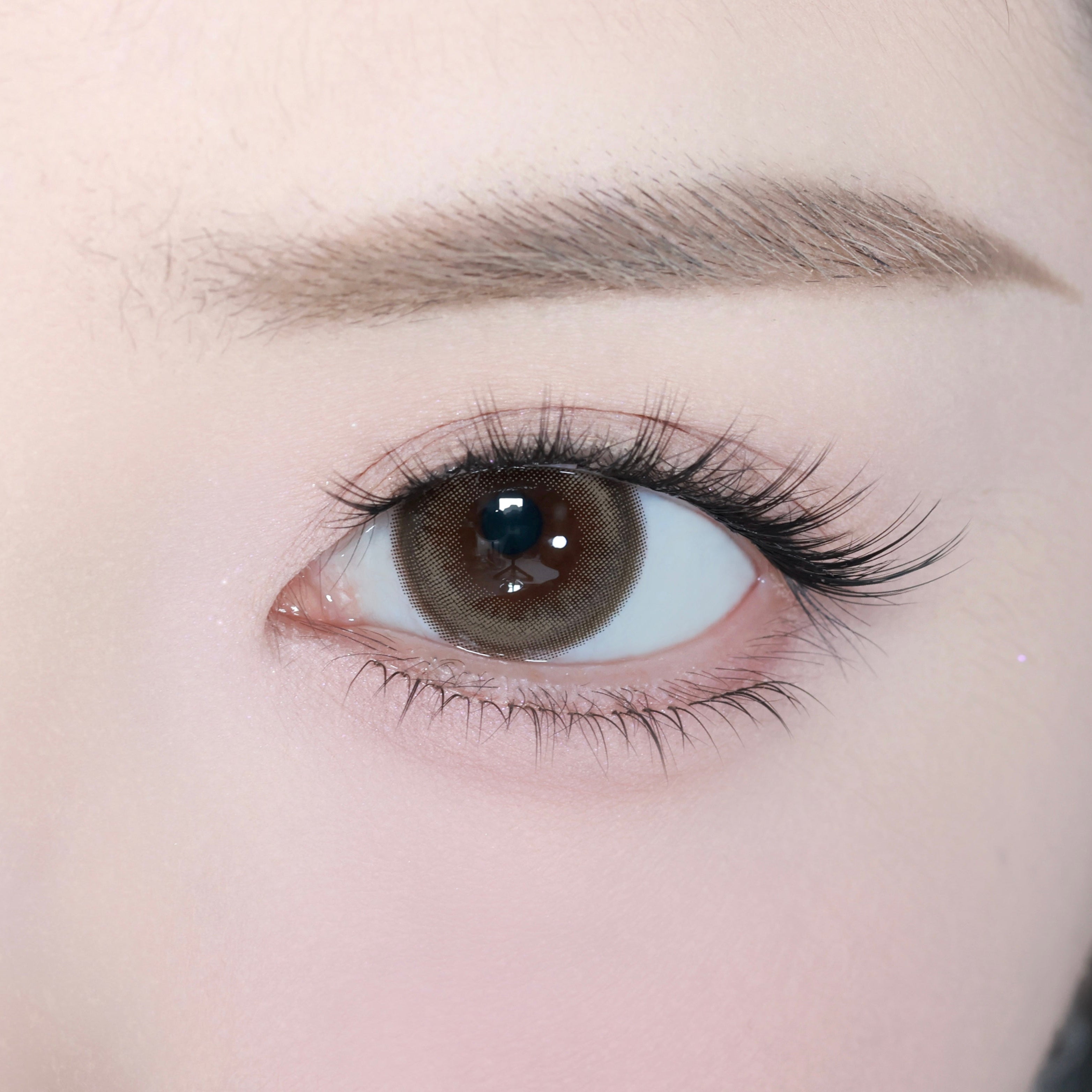 เดย์โกลว์บราวน์ [eyestar] | 1day 