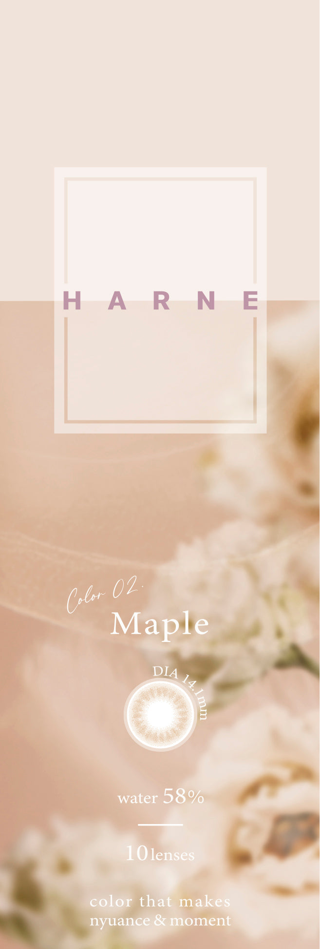 Maple | 1day