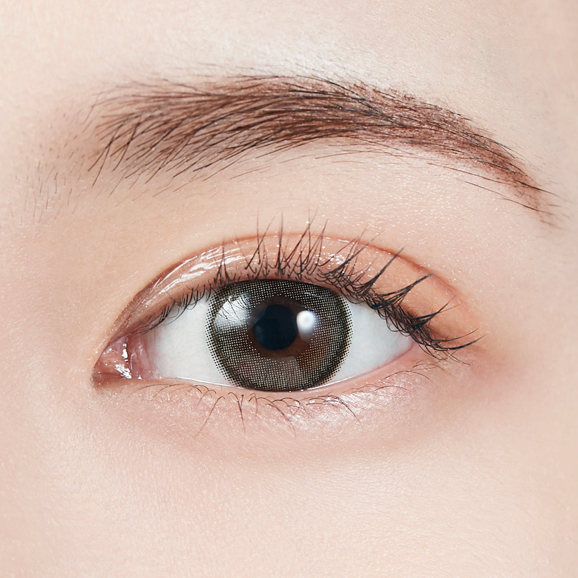 Dazzle Gray Toric Lens  [MOLAK] | 1day