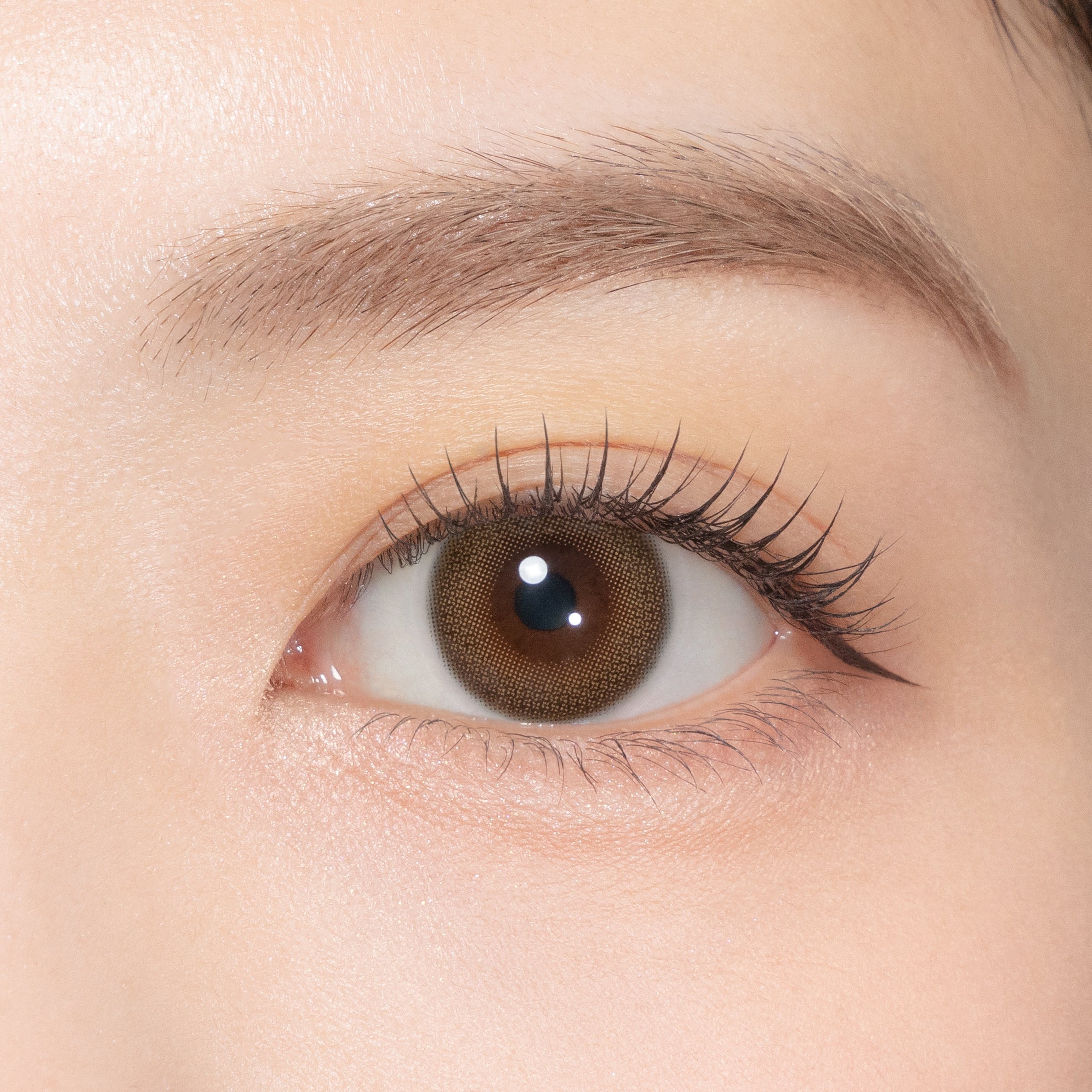 อัปเดตท็อปพาร์ทเนอร์ [TOPARDS] | 1day 