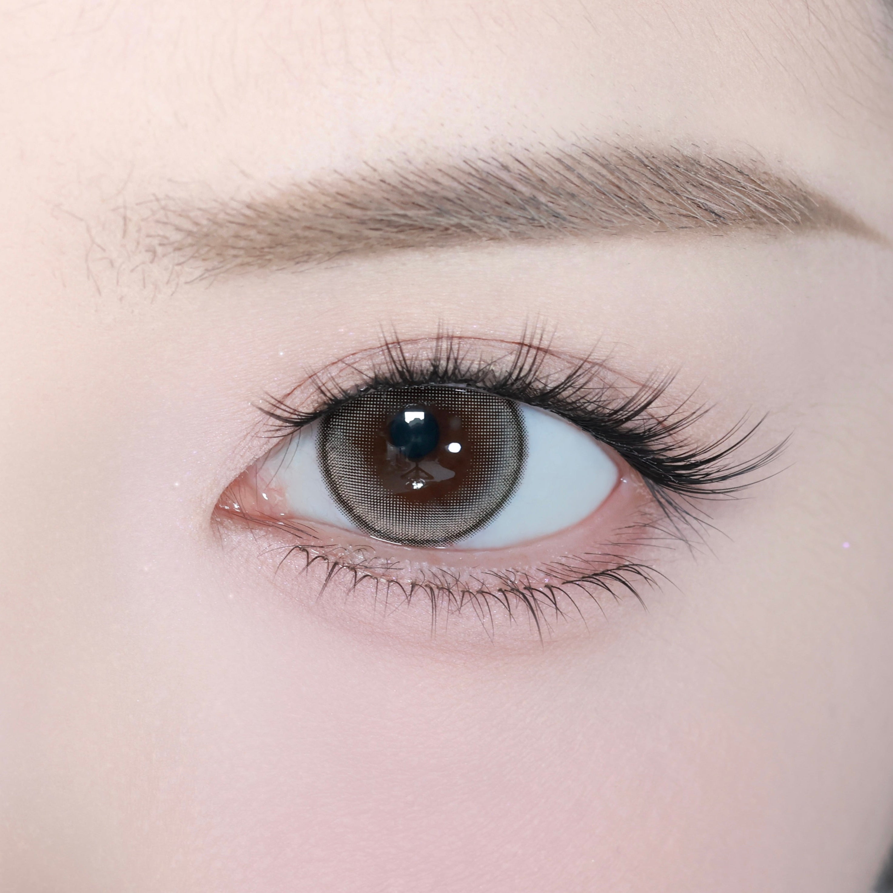 Starflaube [eyestar] | 1day 