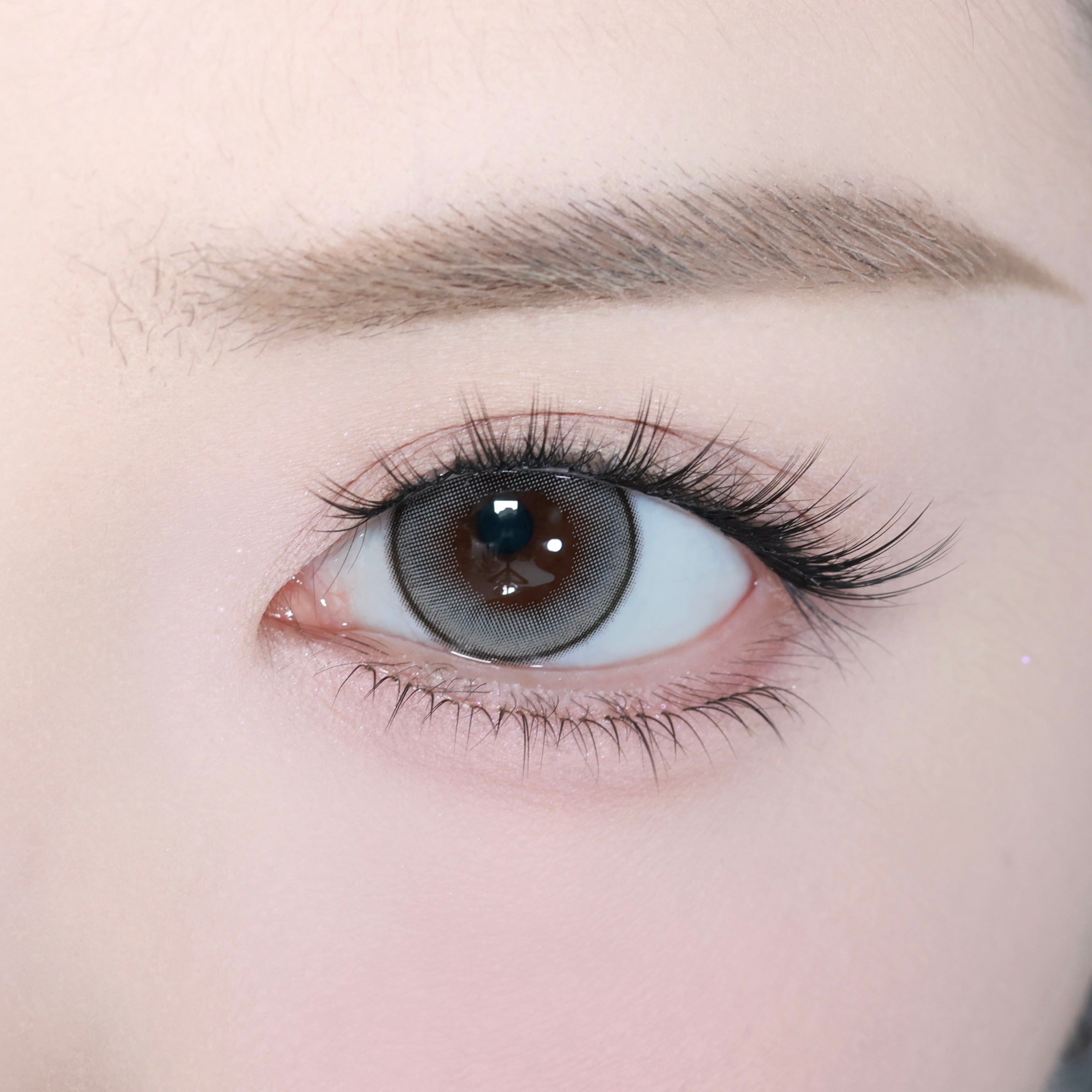 Starflair [eyestar] | 1day 