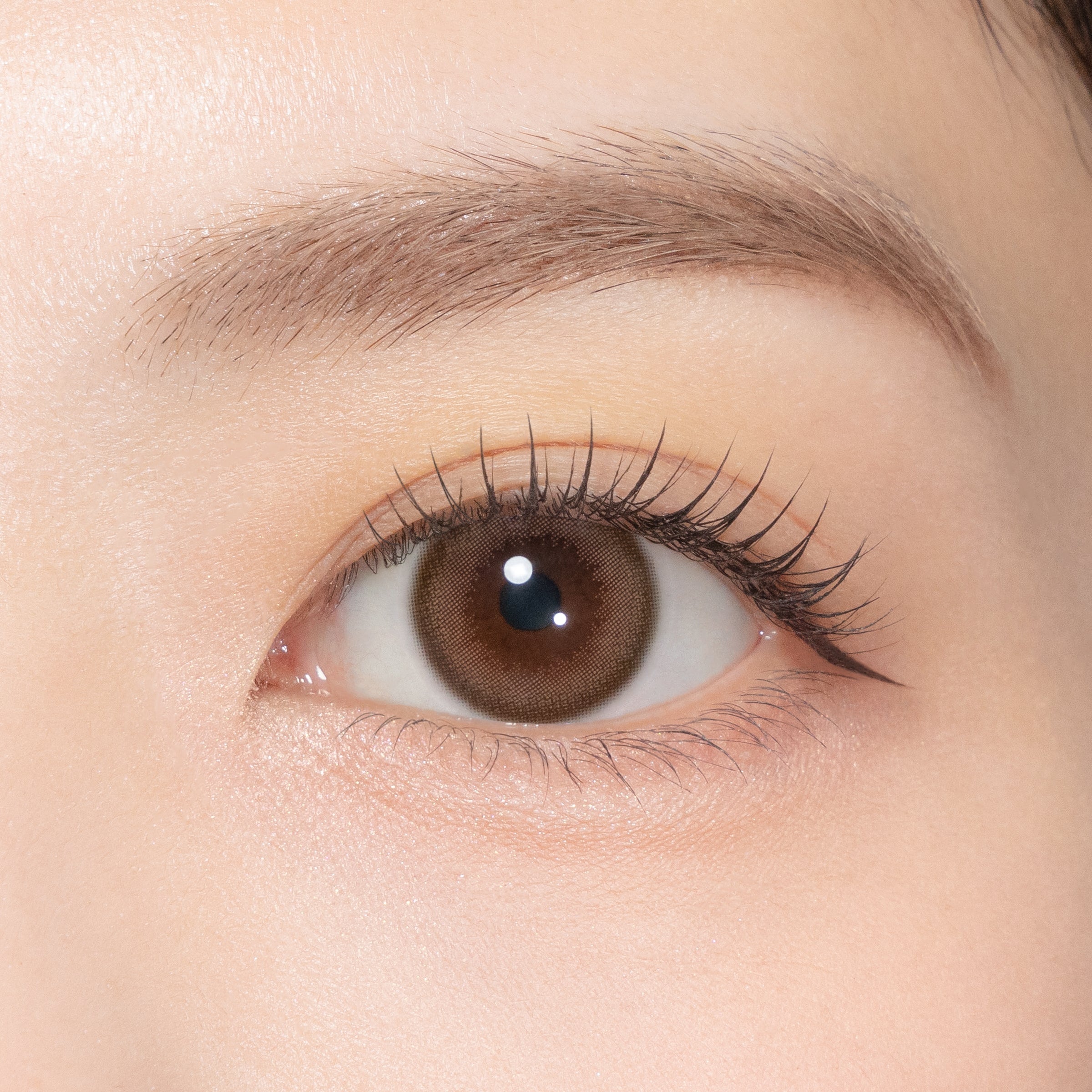 나츄크림로즈 [TOPARDS] | 1day 