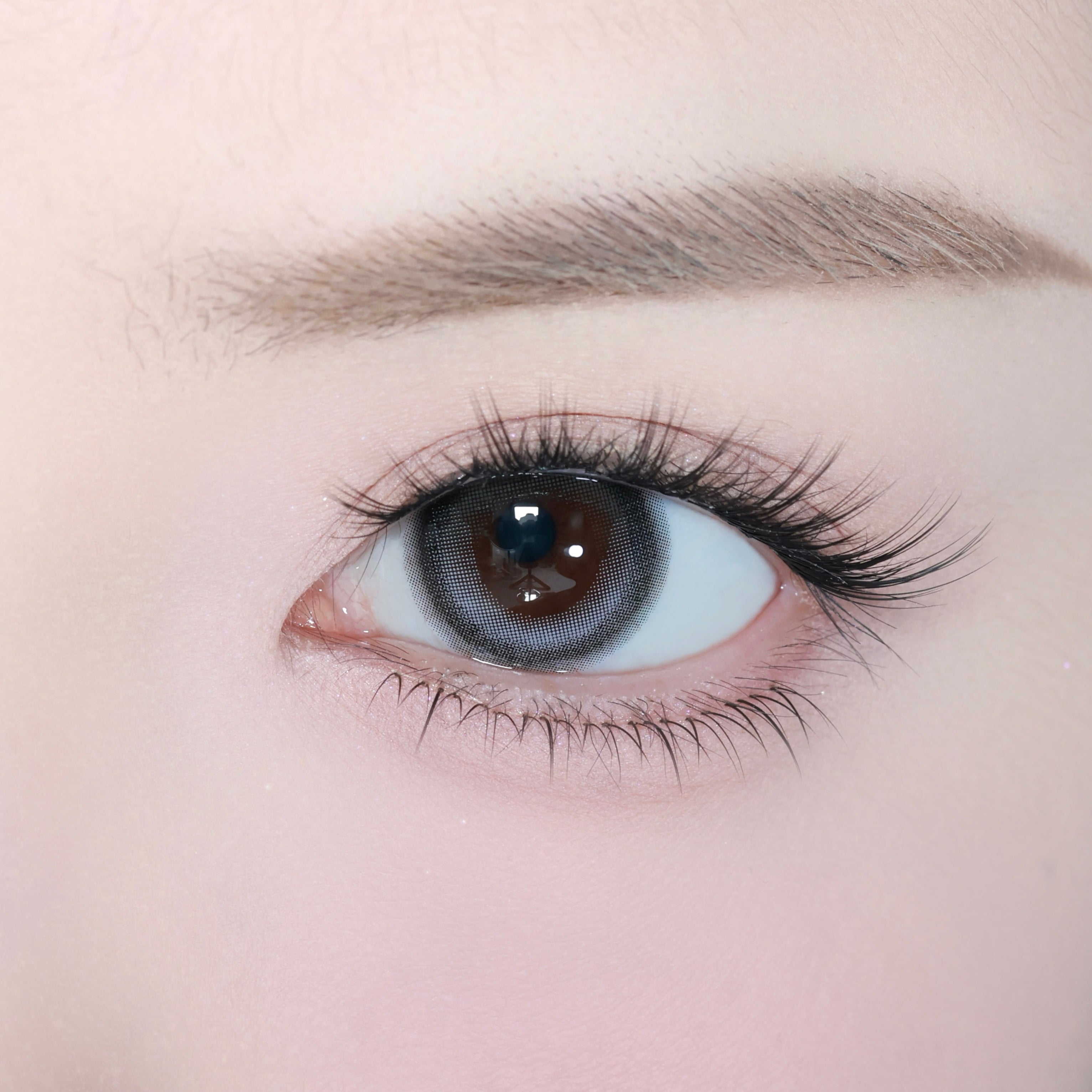 Ikonische Grau [eyestar] | 1day 