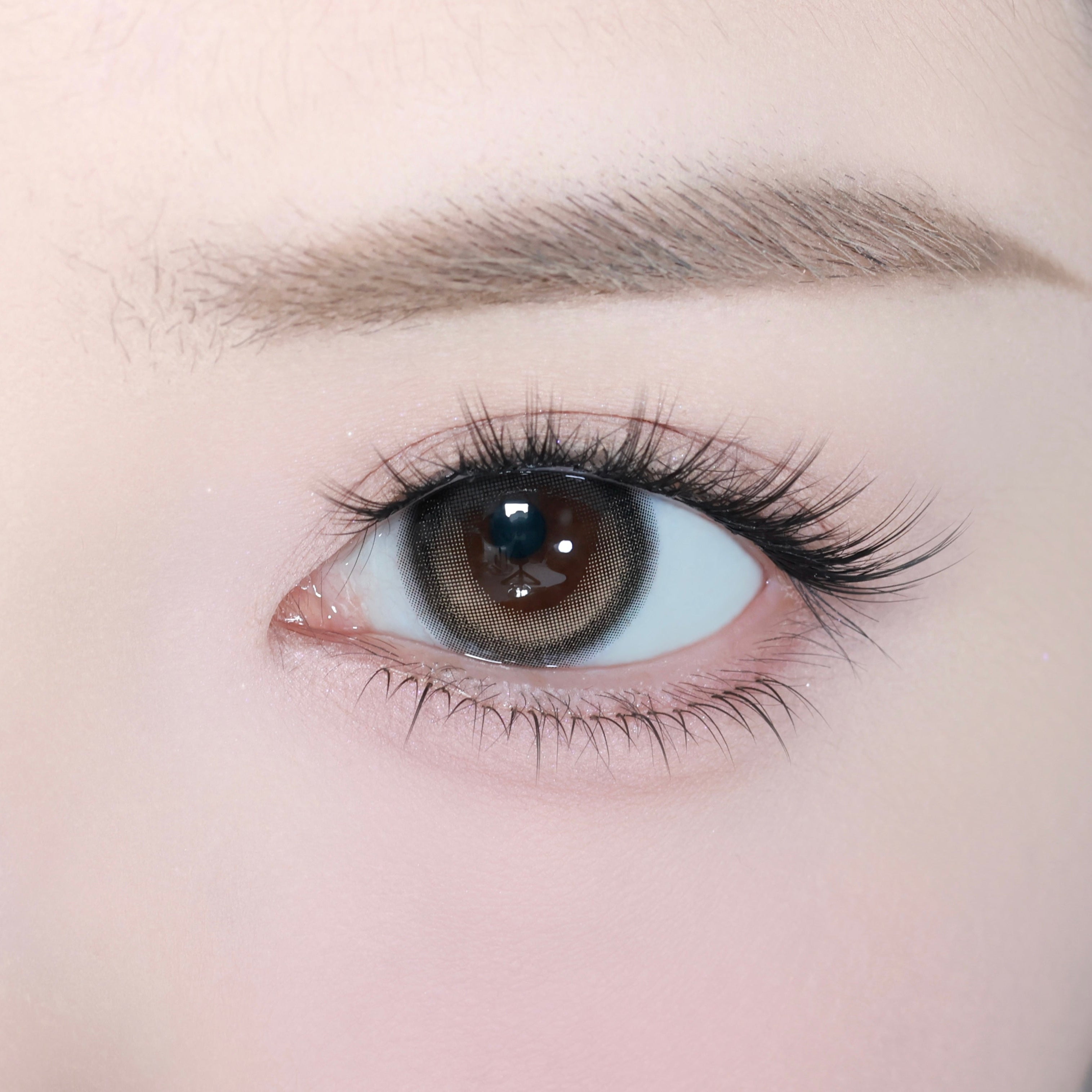 Ikonischer Braun [eyestar] | 1day 