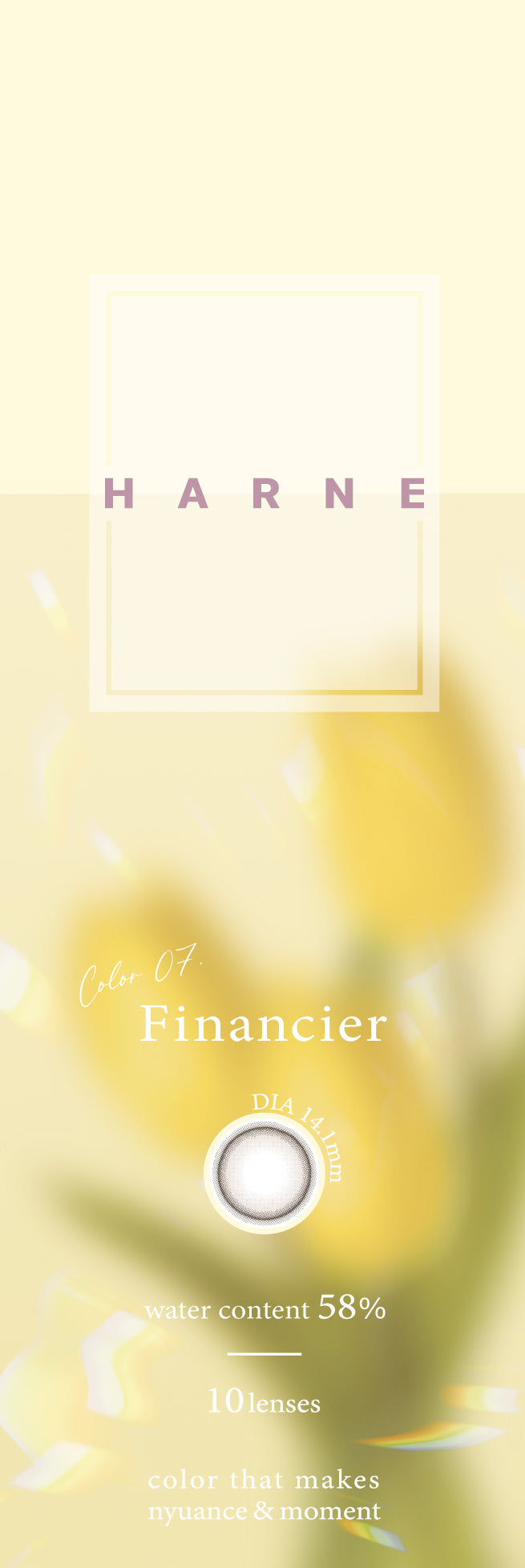 Financier | Financier 1day