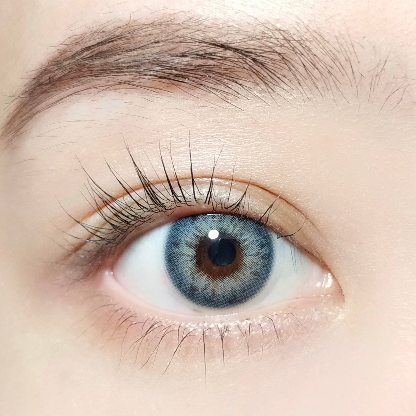 Iris Mint [BARRIEYES] | 1day 