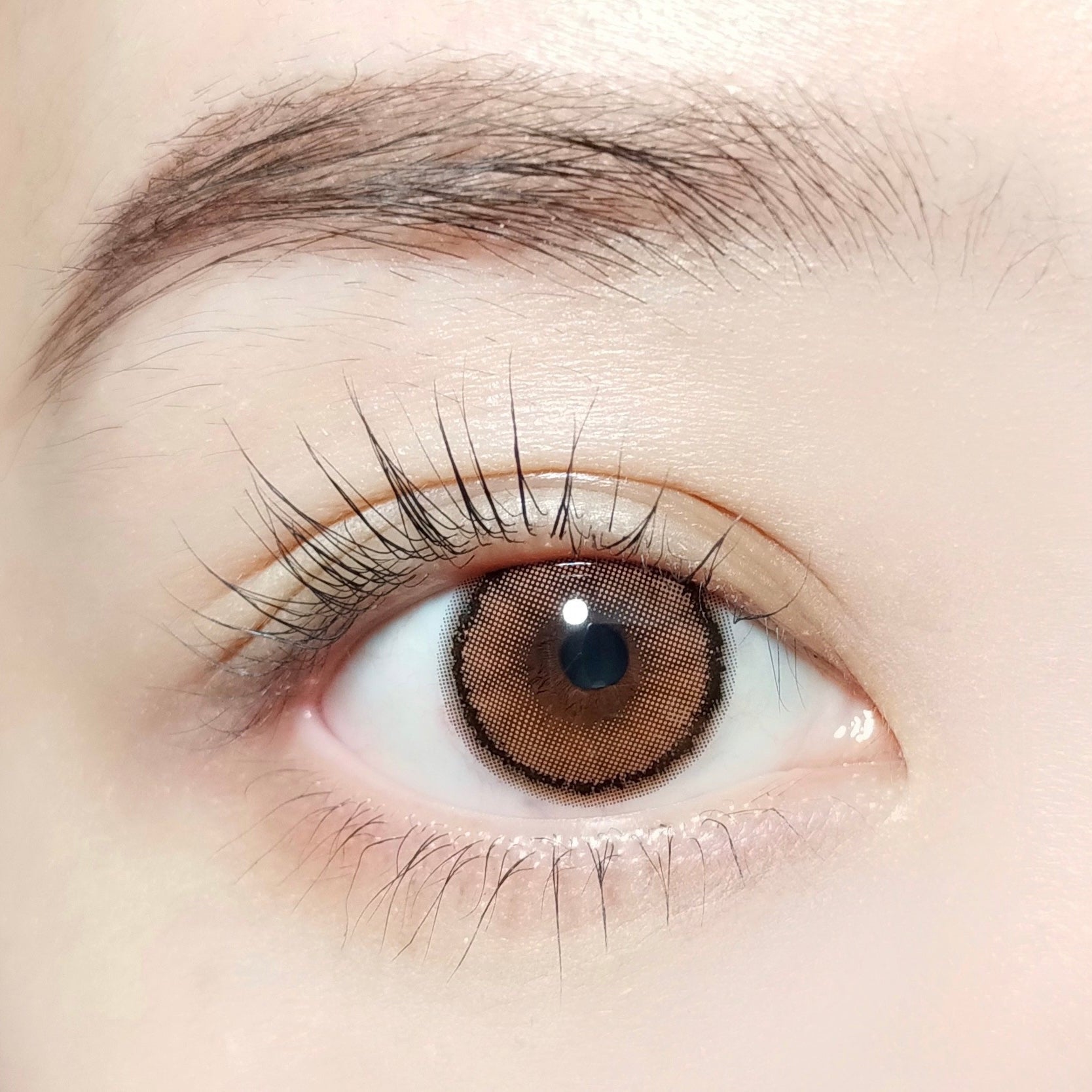 Pearl Brown [BARRIEYES] | 1day 