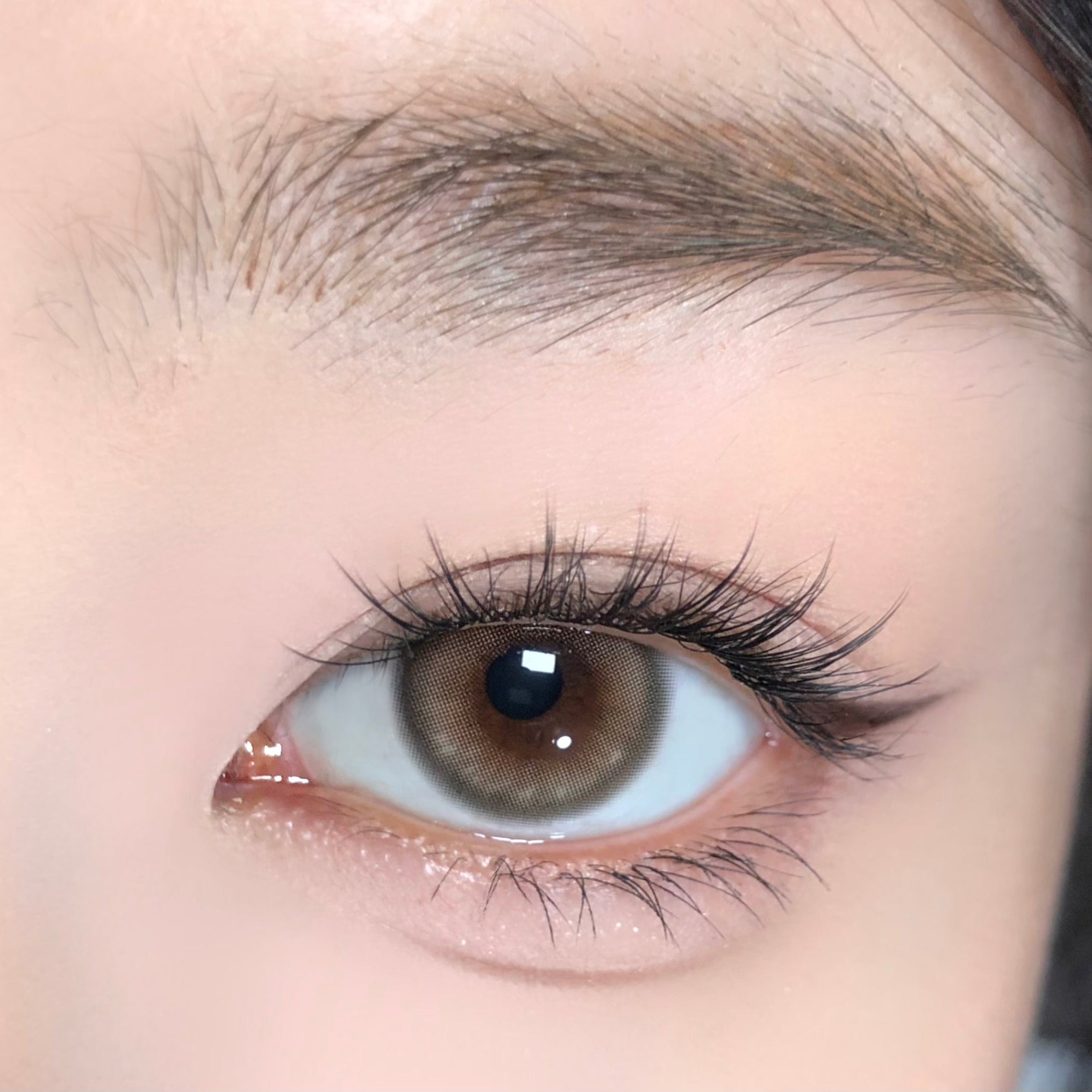 Starry Amber [BARRIEYES] | 1day 