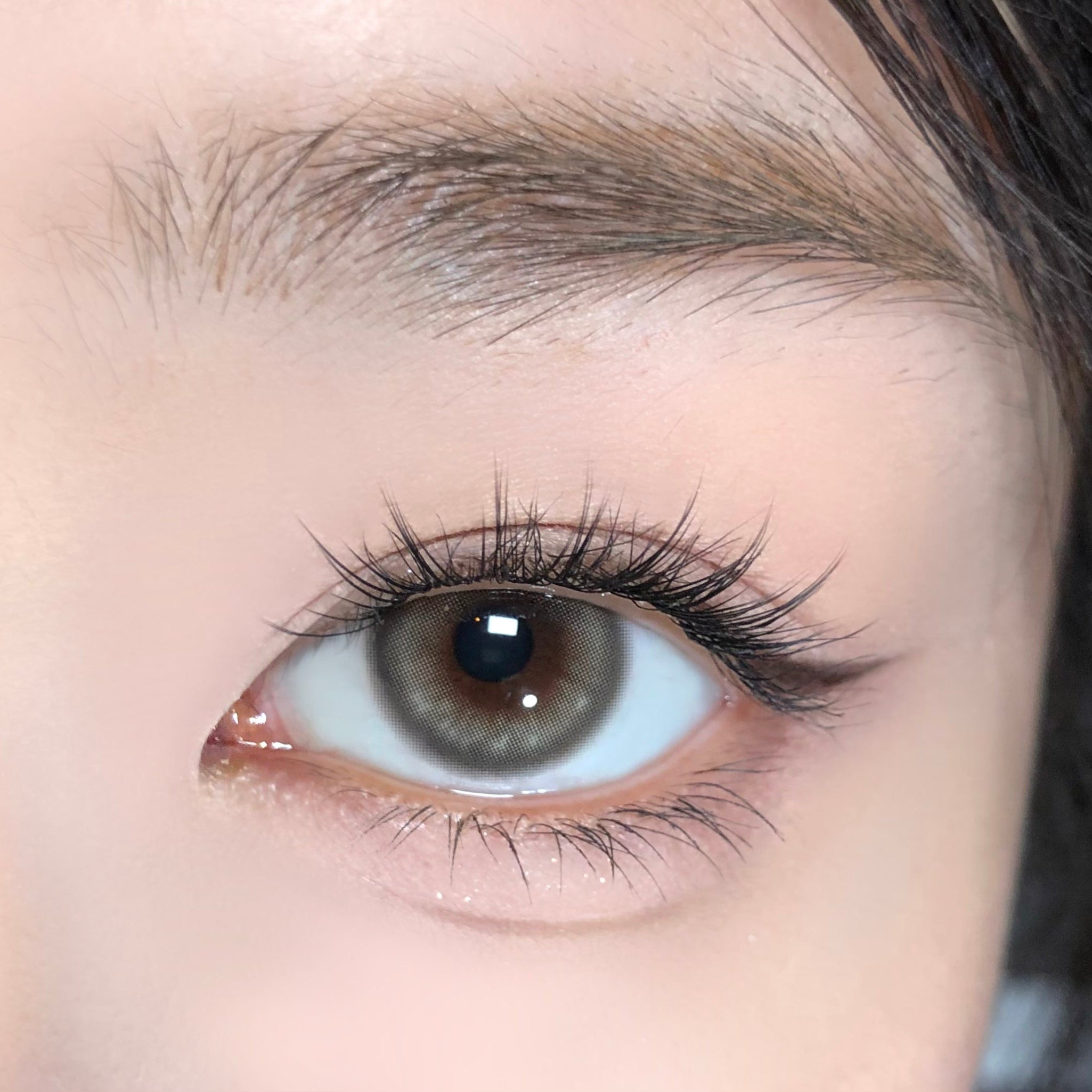 Starry Hazel [BARRIEYES] | 1day 