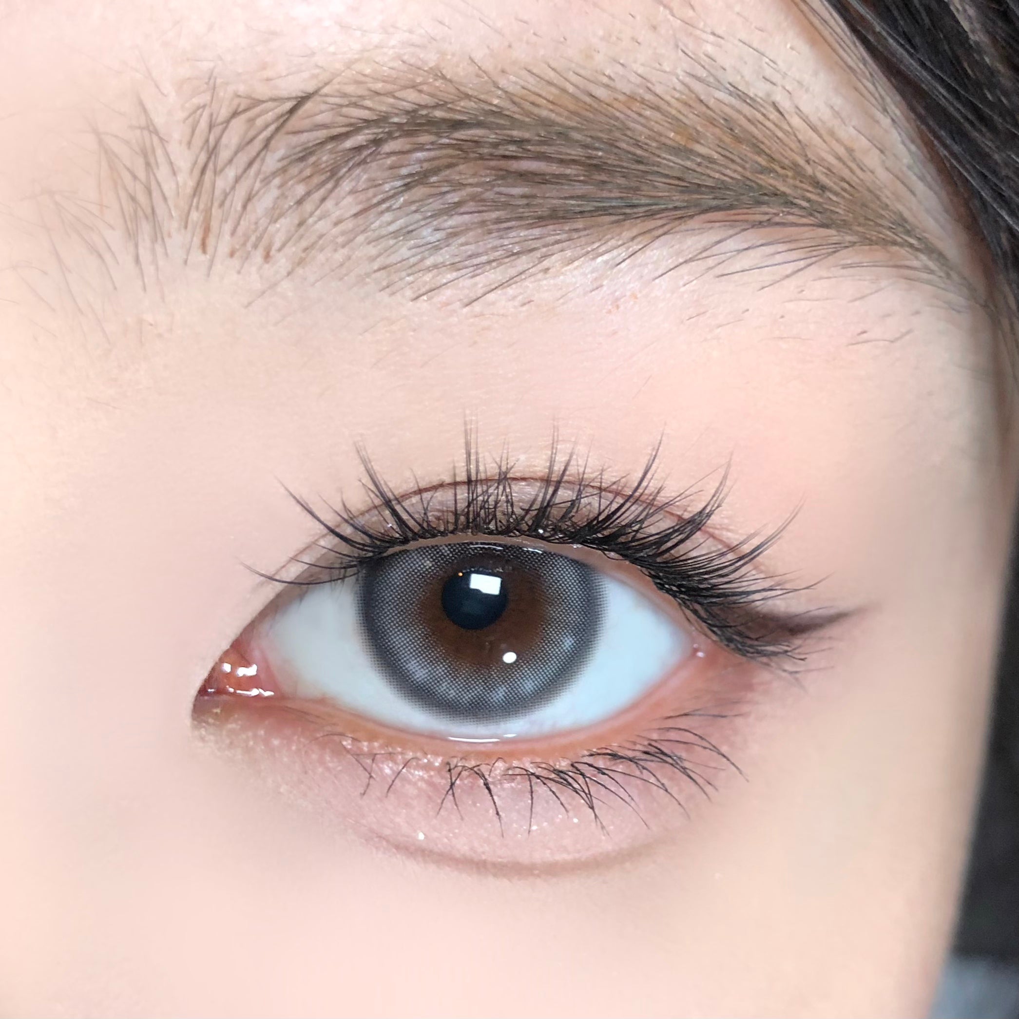 Starry Silver [BARRIEYES] | 1day 