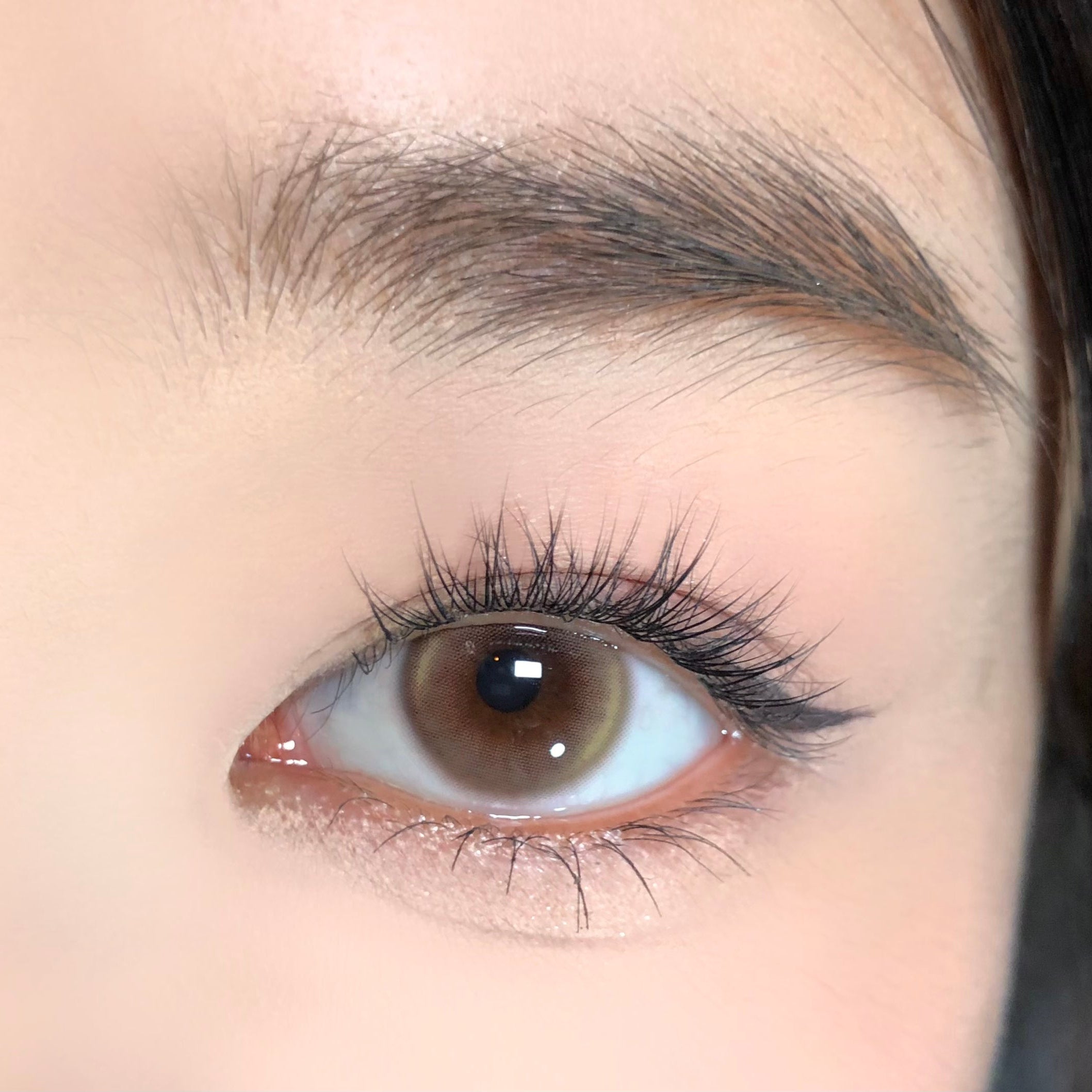Nâu nhạt [BARRIEYES] | 1day 