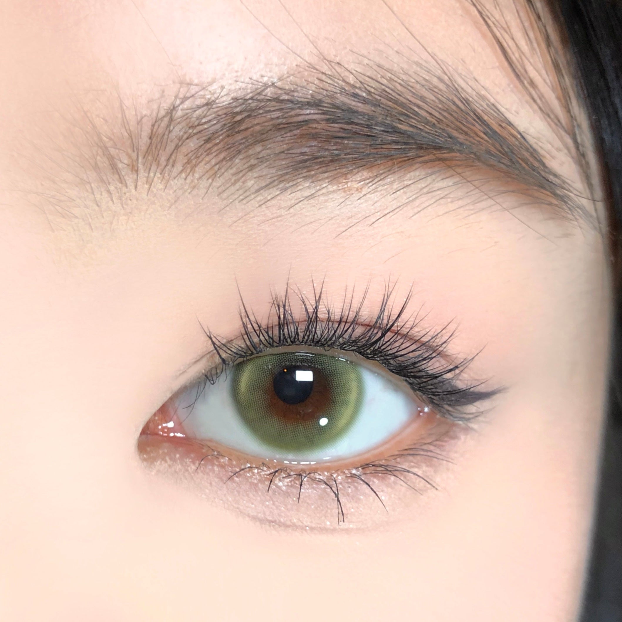 Fairy Olive [BARRIEYES] | 1day 