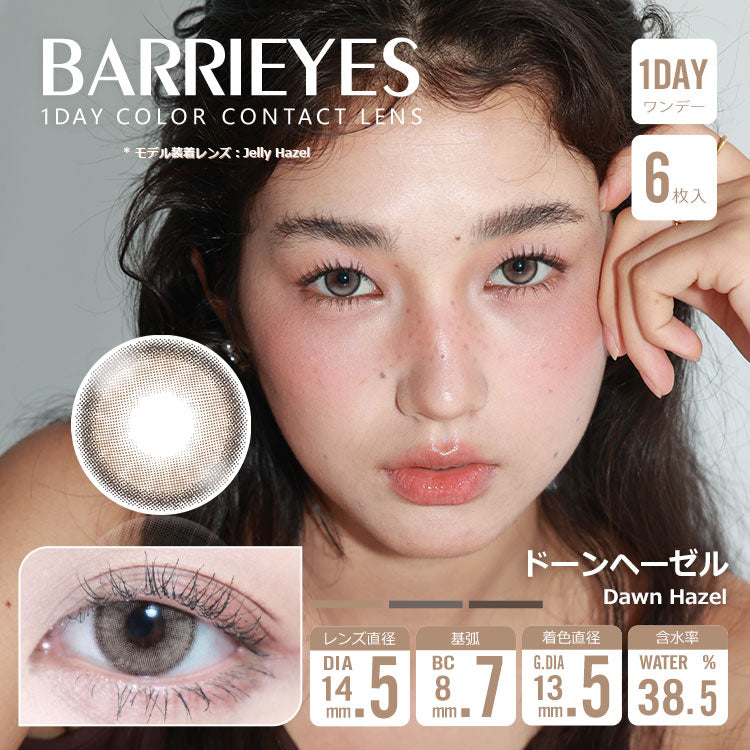 دونهايزل [BARRIEYES] | 1day 