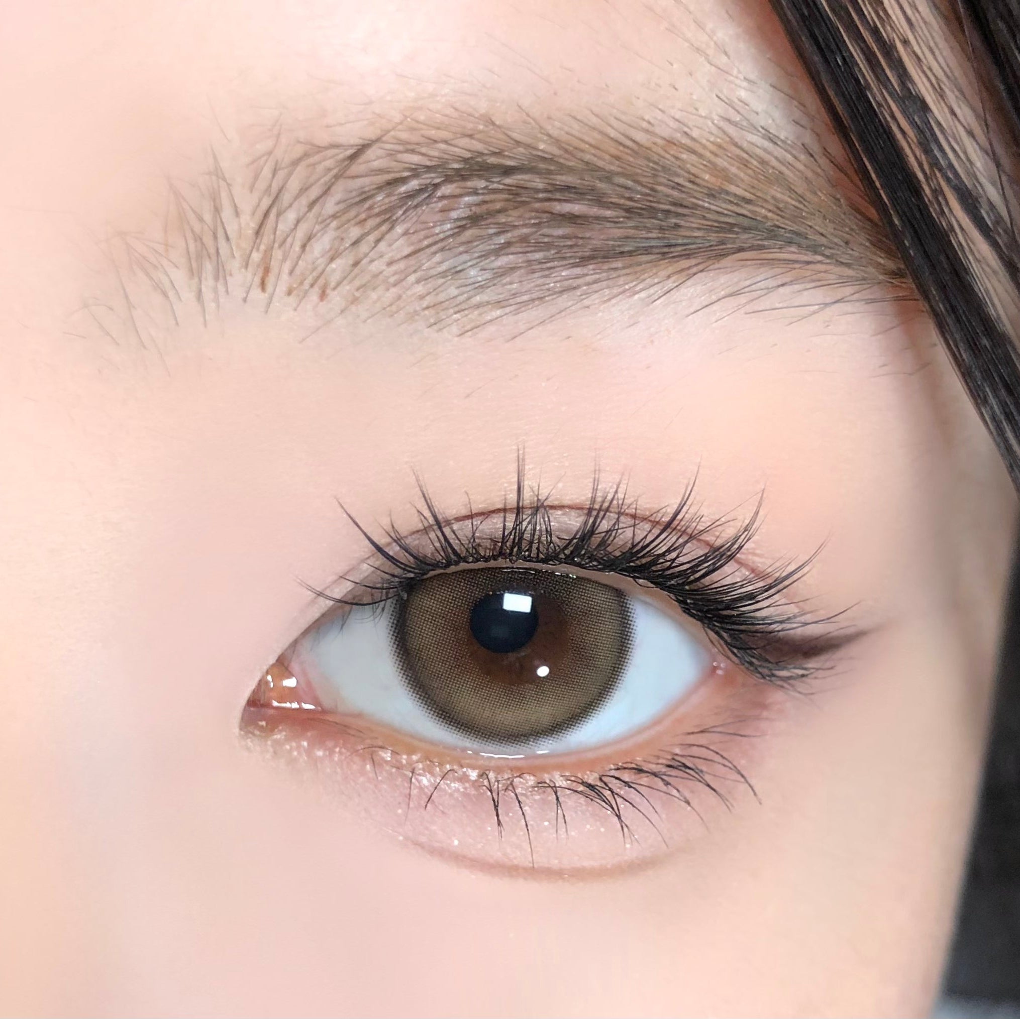 Jelly Brown [BARRIEYES] | 1day 
