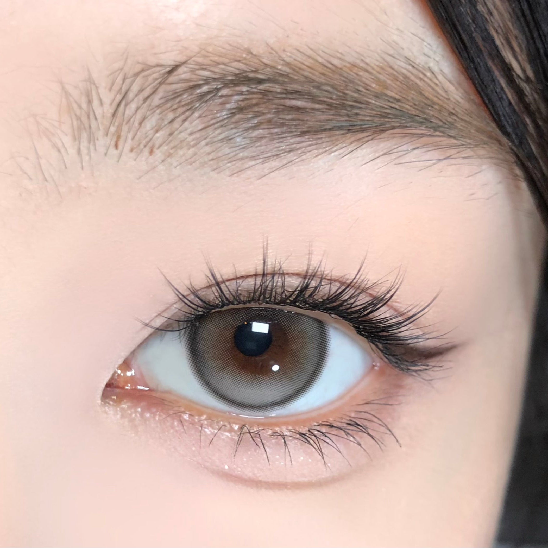 Jelly Gray [BARRIEYES] | 1day 