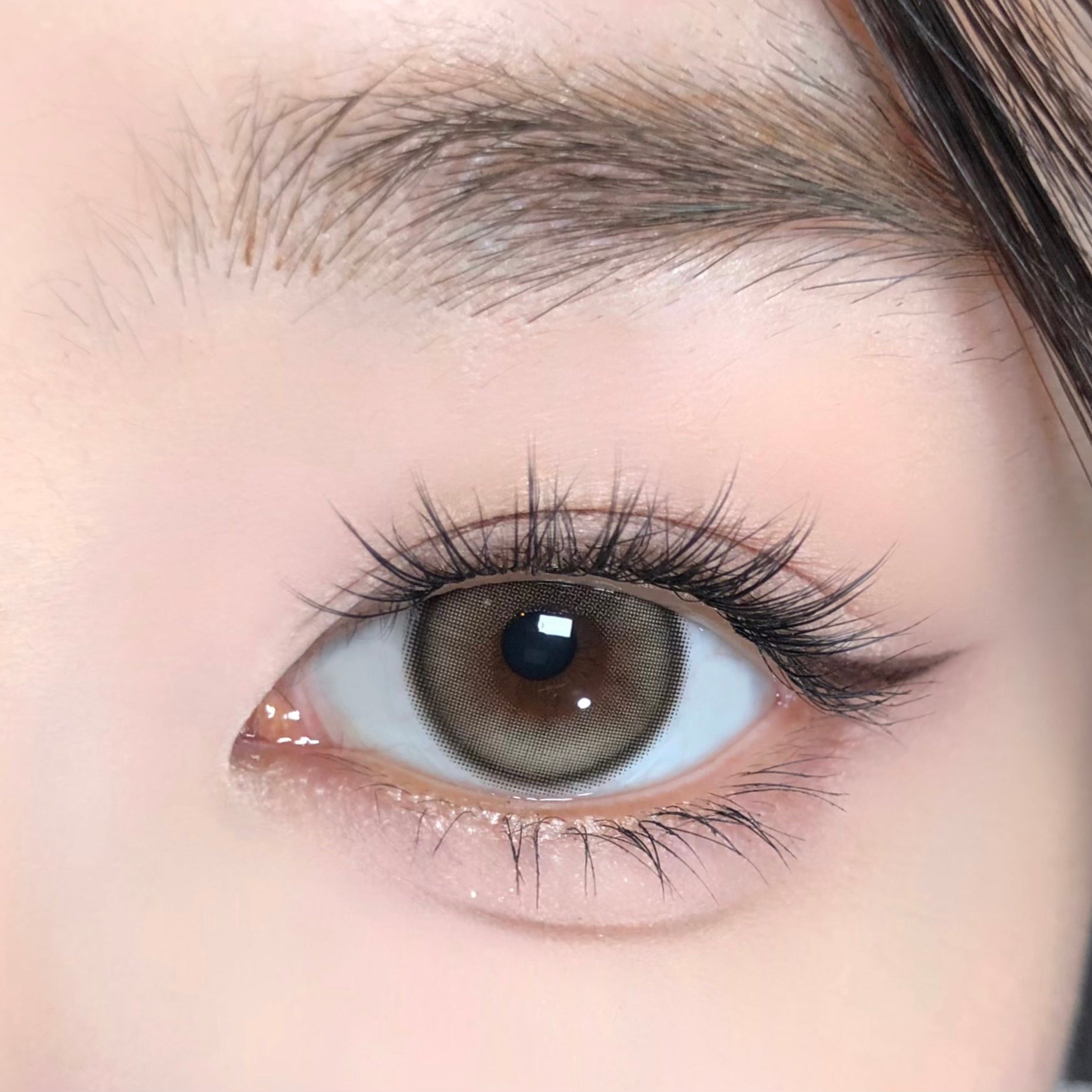 Jelly Hazel [BARRIEYES] | 1day 