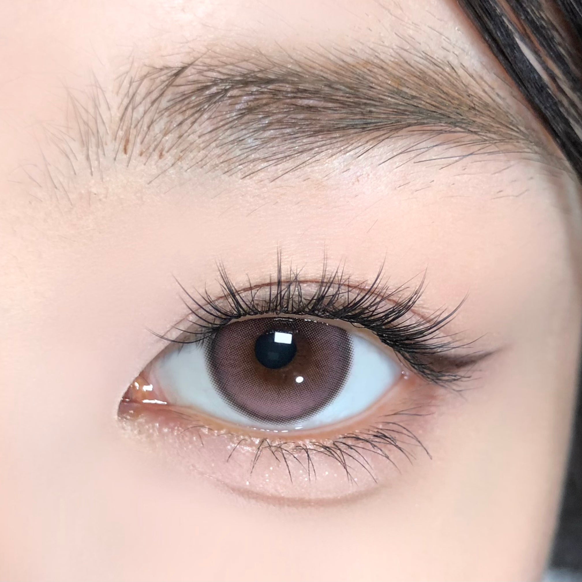 Jelly Pink [BARRIEYES] | 1day 