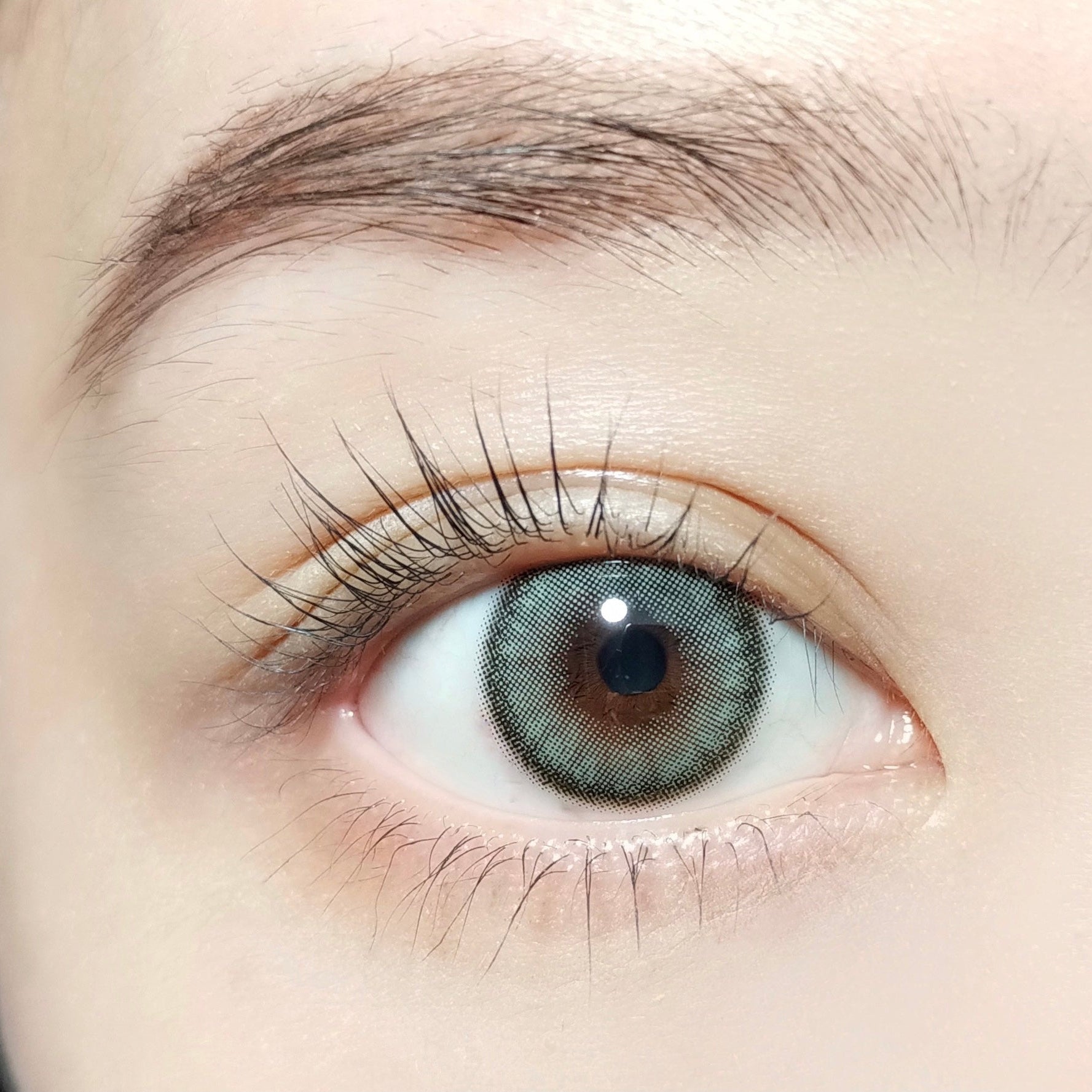 Ô liu đen [BARRIEYES] | 1day 