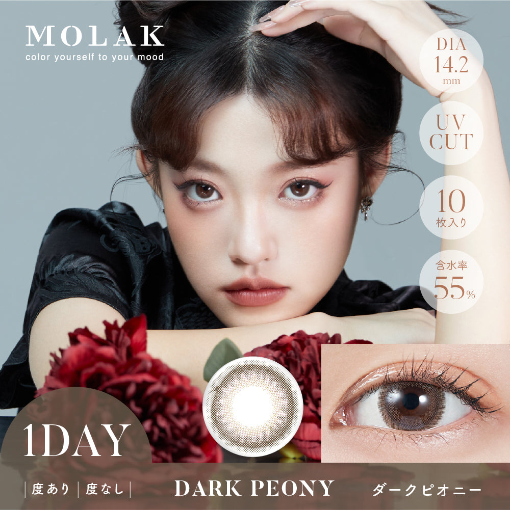 黑暗诗人 [MOLAK] | 1day 