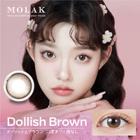 多利士布朗 [MOLAK] | 1month 