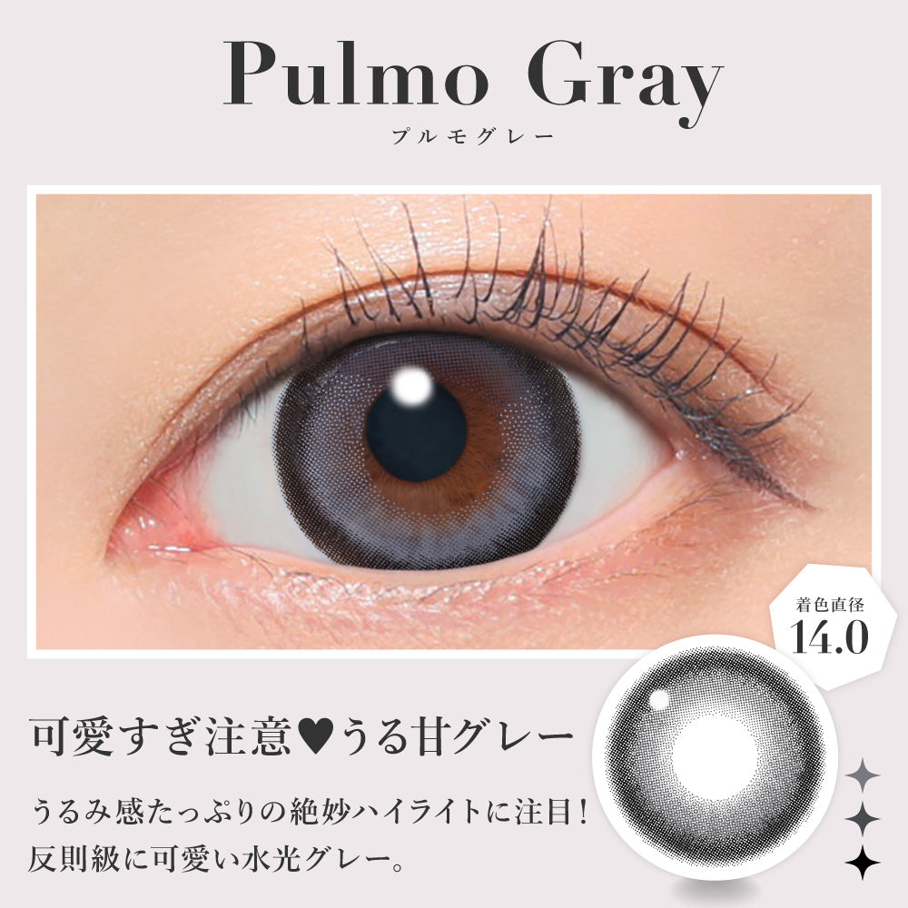 Plumo Gray [secret candymagic] | 1day Colored Contact Lens - DIA