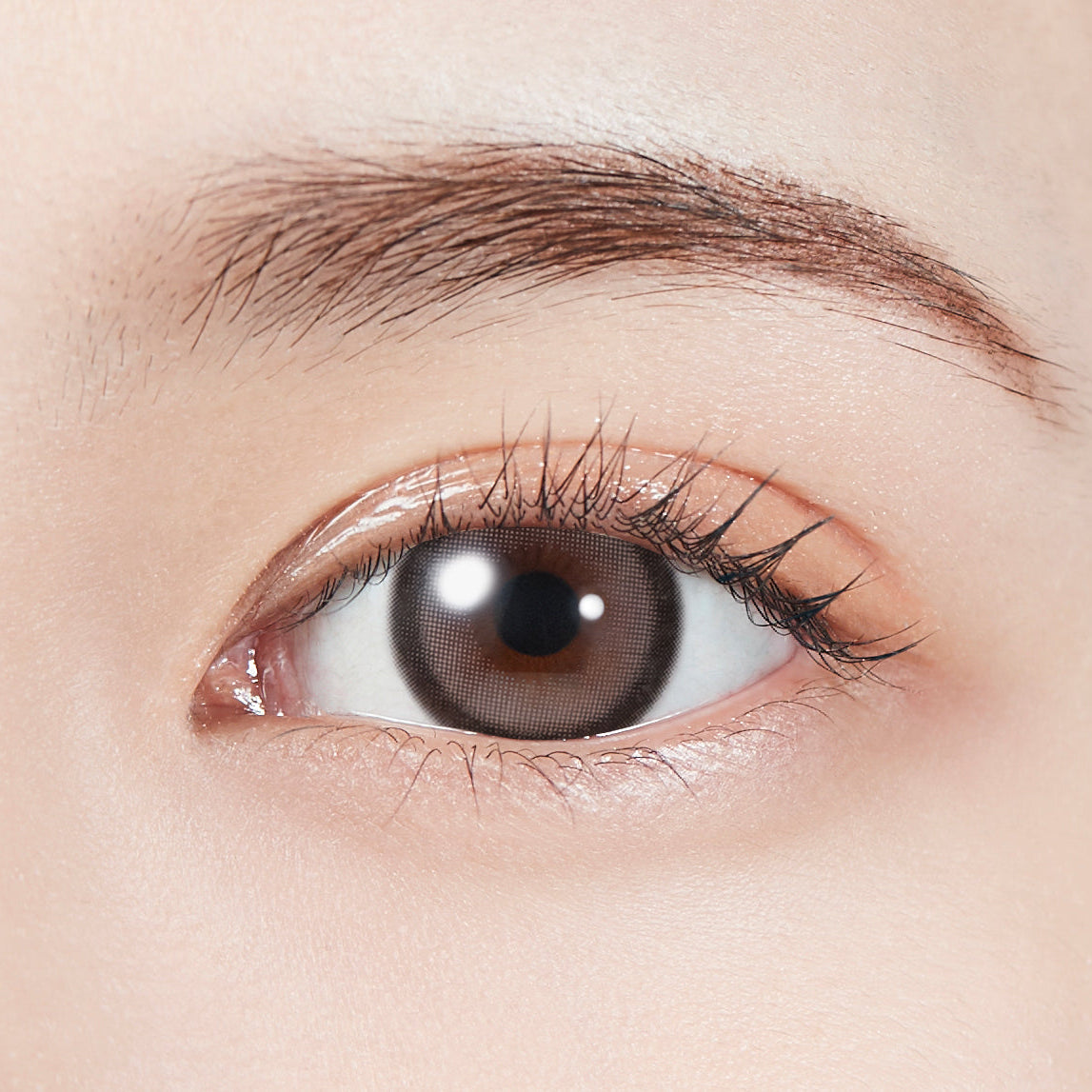 เกรย์บันนี [MOLAK] | 1day 