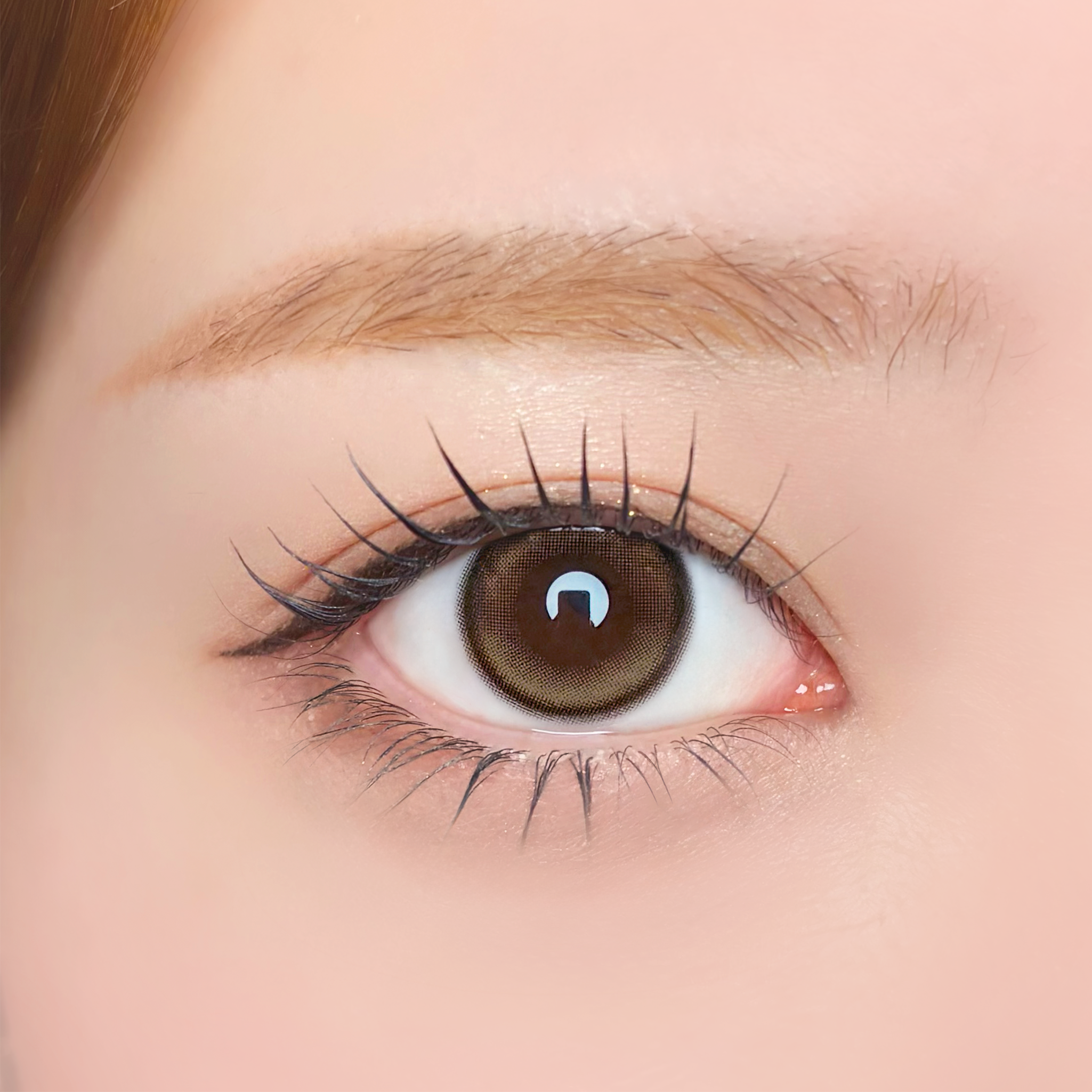 루난베이주 [Unrolla] | 1day 