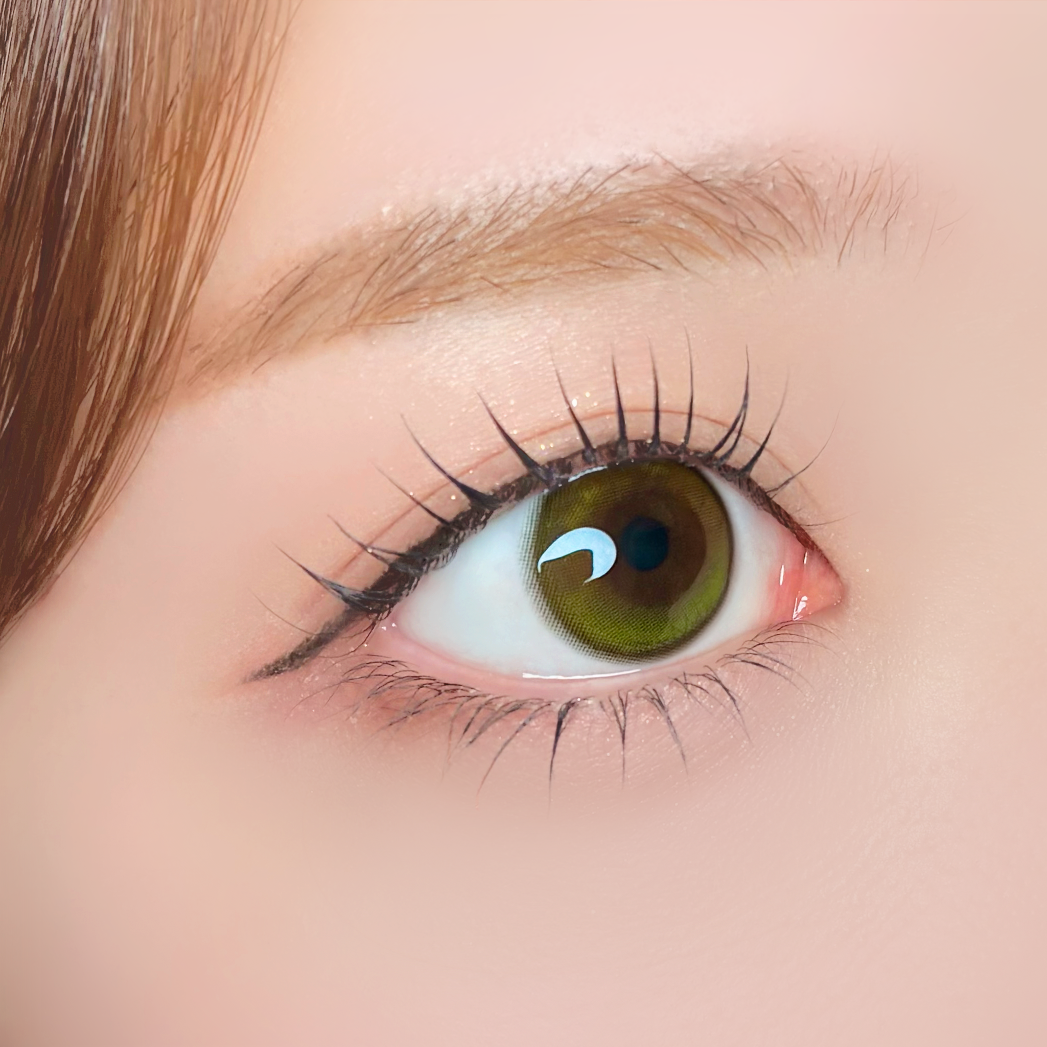 رنان أوليب [Unrolla] | 1day 