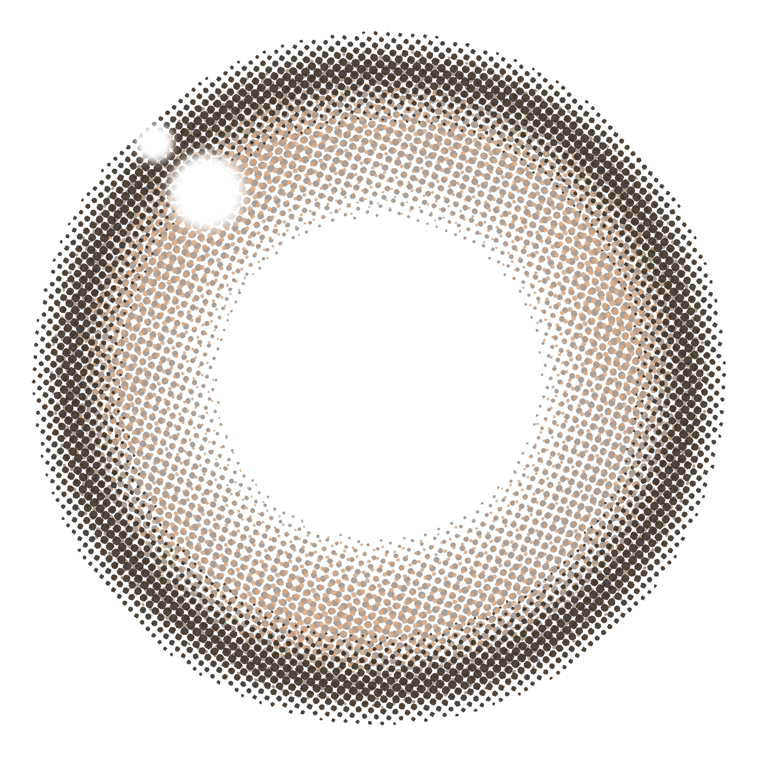 Café Latte Rose [Winkuu] | 1day 