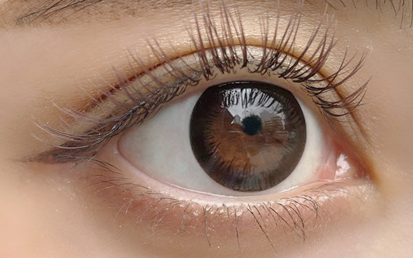 แอคเซนต์แบล็ก เลนส์โทริก [ANGEL EYES] | 1วัน 