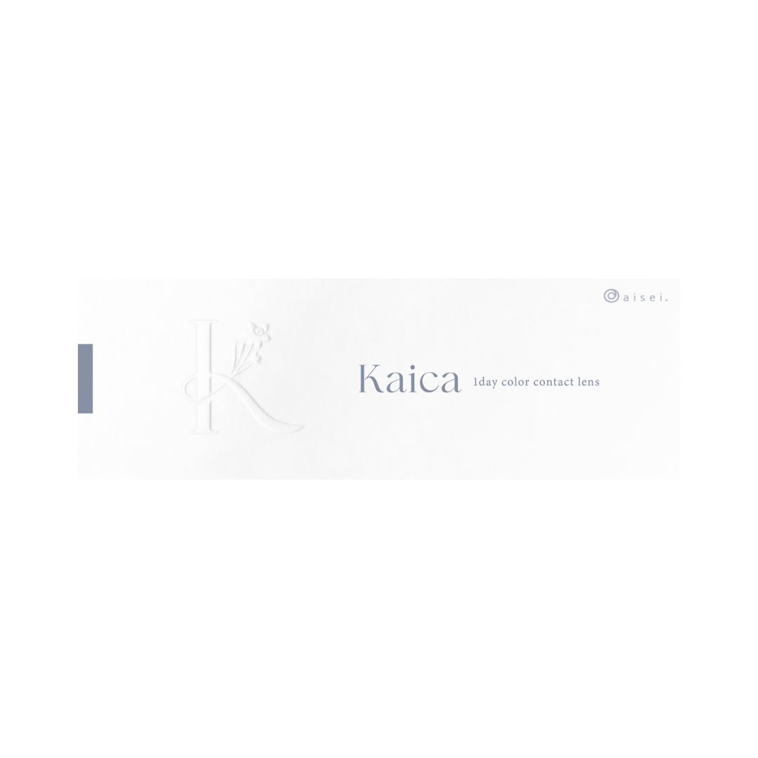Snow Grey [Kaica] | 1day 