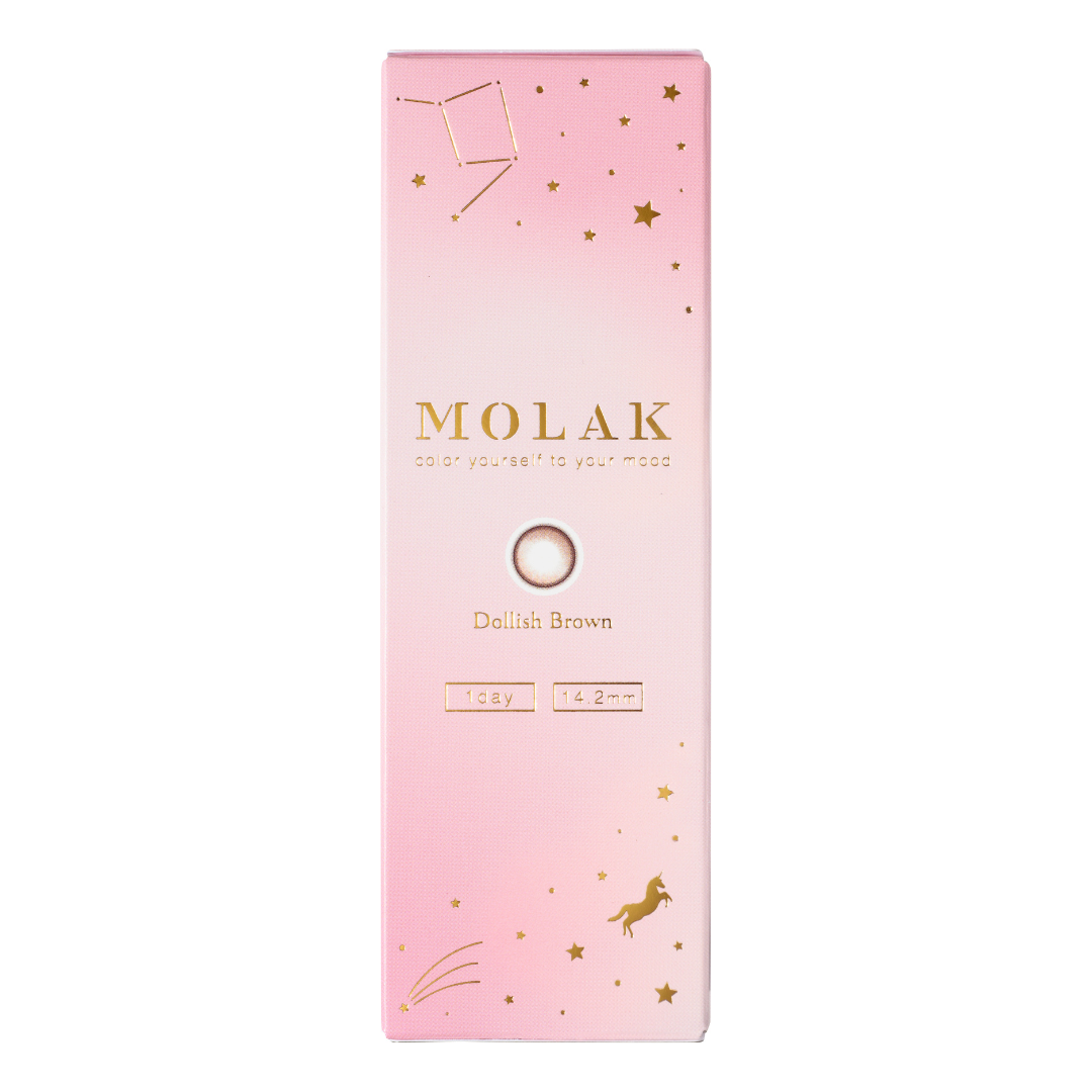 多利什布朗 [MOLAK] | 1day 