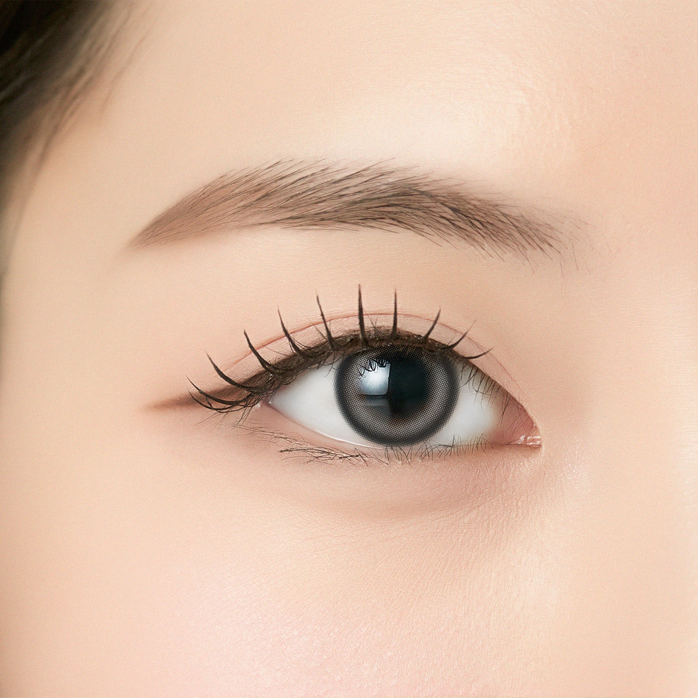 Lurigre [ANGÉLIQUE] | 1day 