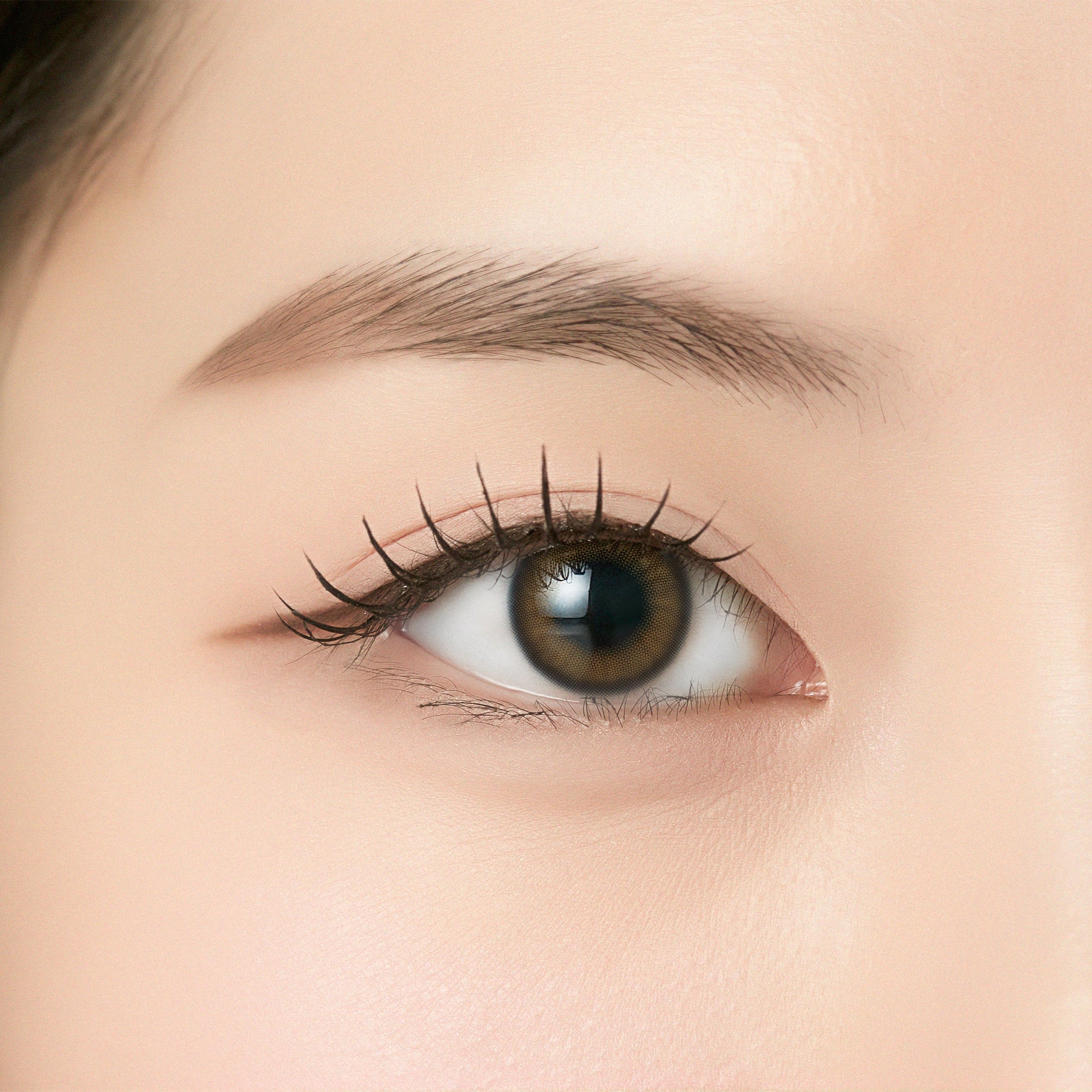 Jeppobrown [ANGÉLIQUE] | 1month 