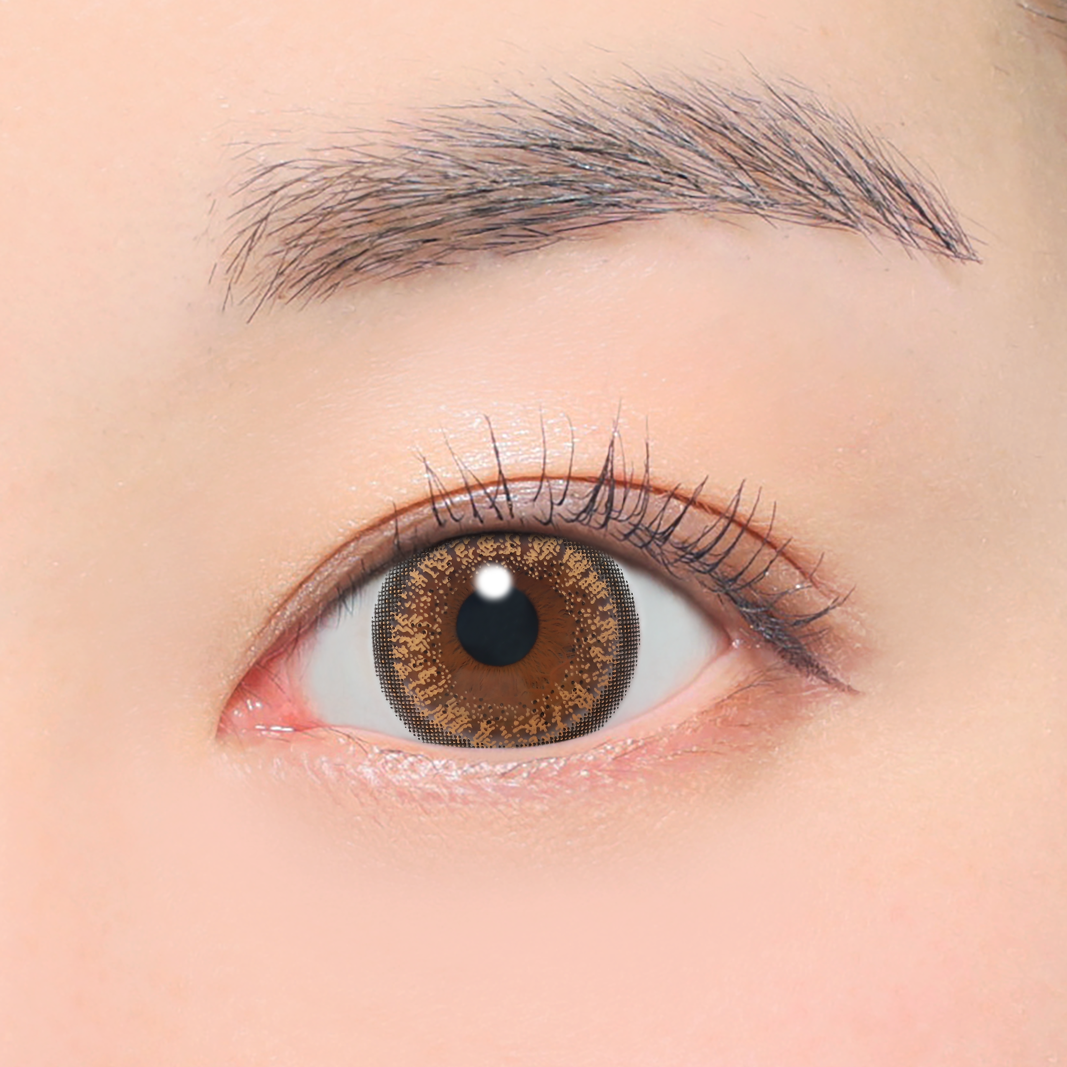 自然棕色 [candymagic] | 1day 