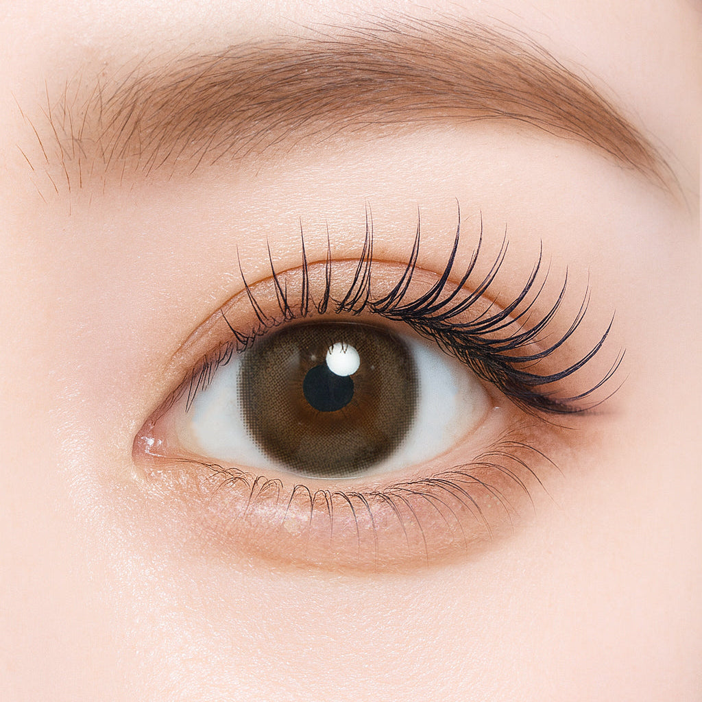 バスケットスモア [Charton] | 1day 