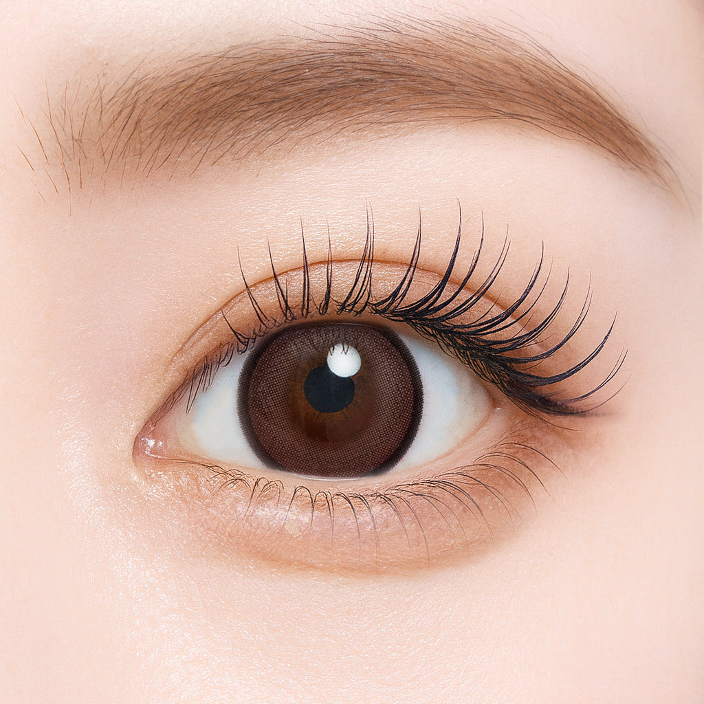 ช็อกโกแลตมูสพาย [Charton] | 1month 