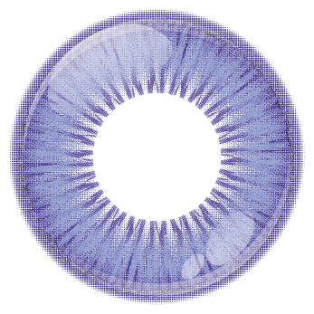 Eternal Violet [Shutella] | 1 giorno