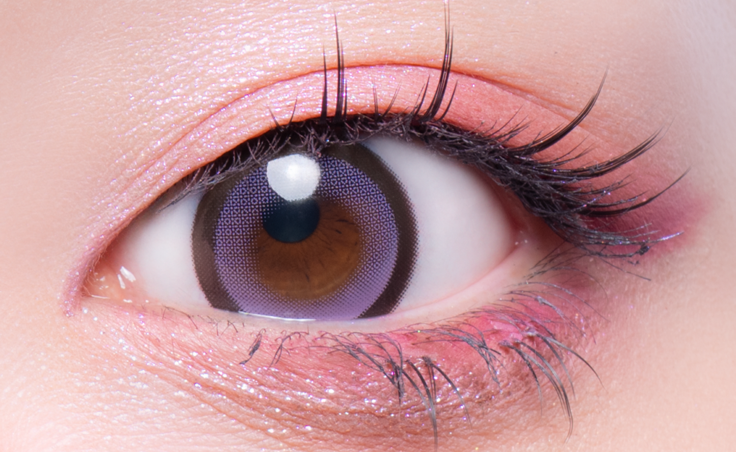 แคนดี้ [GAL NEVER DIE] | 1day 