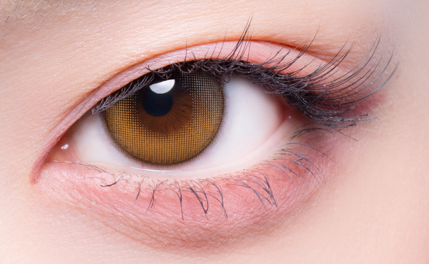 ビーマイン [GAL NEVER DIE] | 1month 