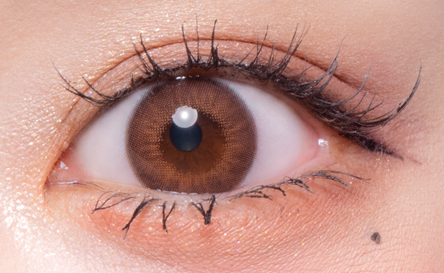 MOCADARKMàu nâu | 1 ngày