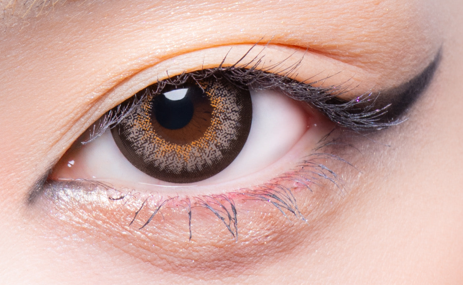 Chocolat [GAL NEVER DIE] | 1month 