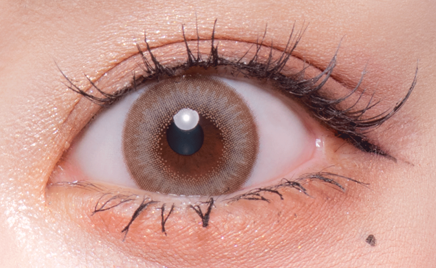 Pearl Light Brown  [Flurry] | 1day