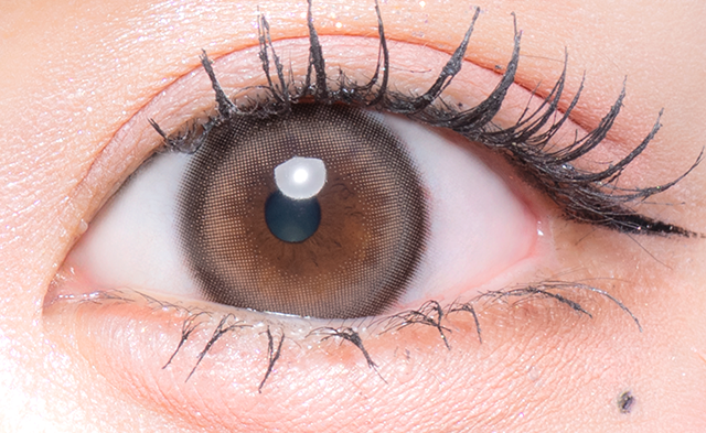 Ring Large Brown (Pachikuri Bear) [Flurry] | 1day 