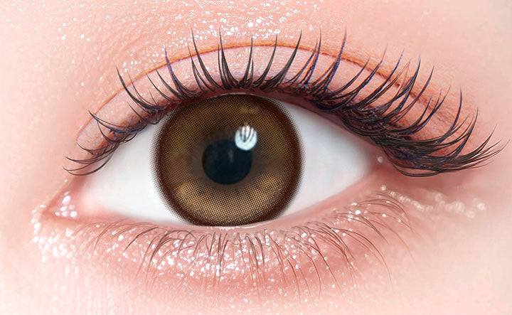 Hanigros [colors] | 1day 