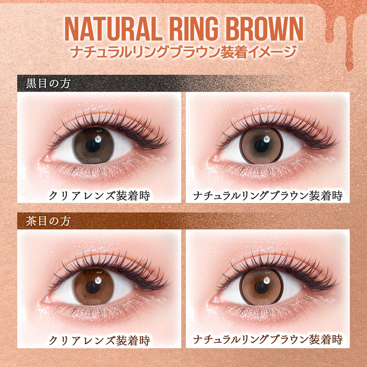 Natural Ring Brown | colors 1day Colored Contact Lens | Push!Color