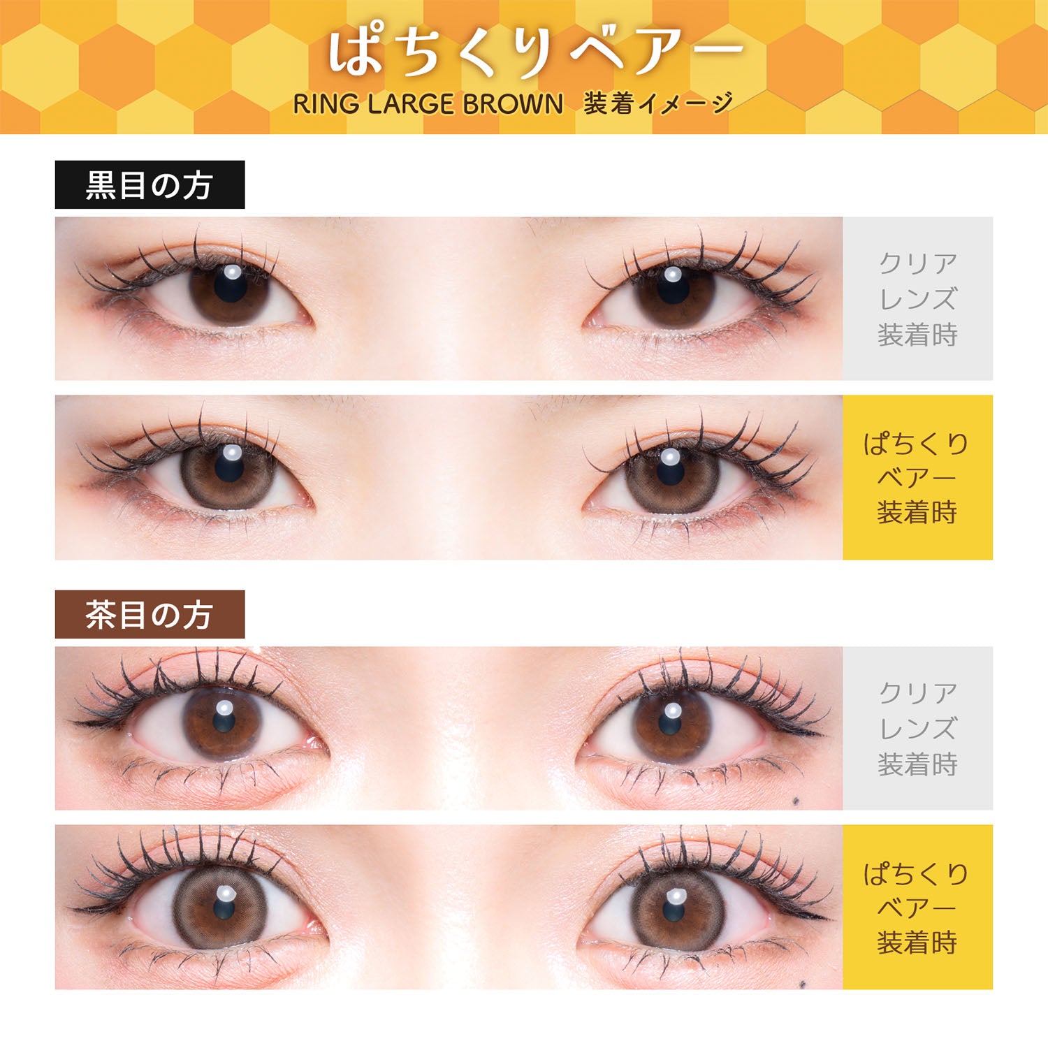 Ring Large Brown (Pachikuri Bear) [Flurry] | 1day 