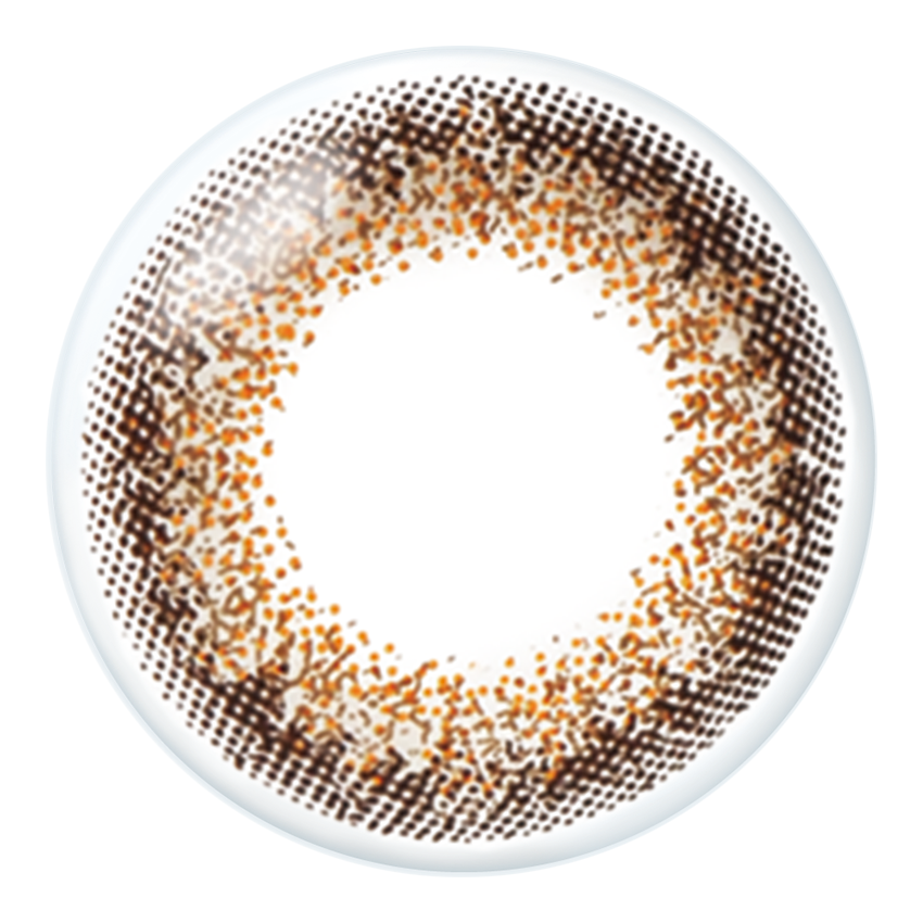 cielBraun Torische Linsen | 1Tag