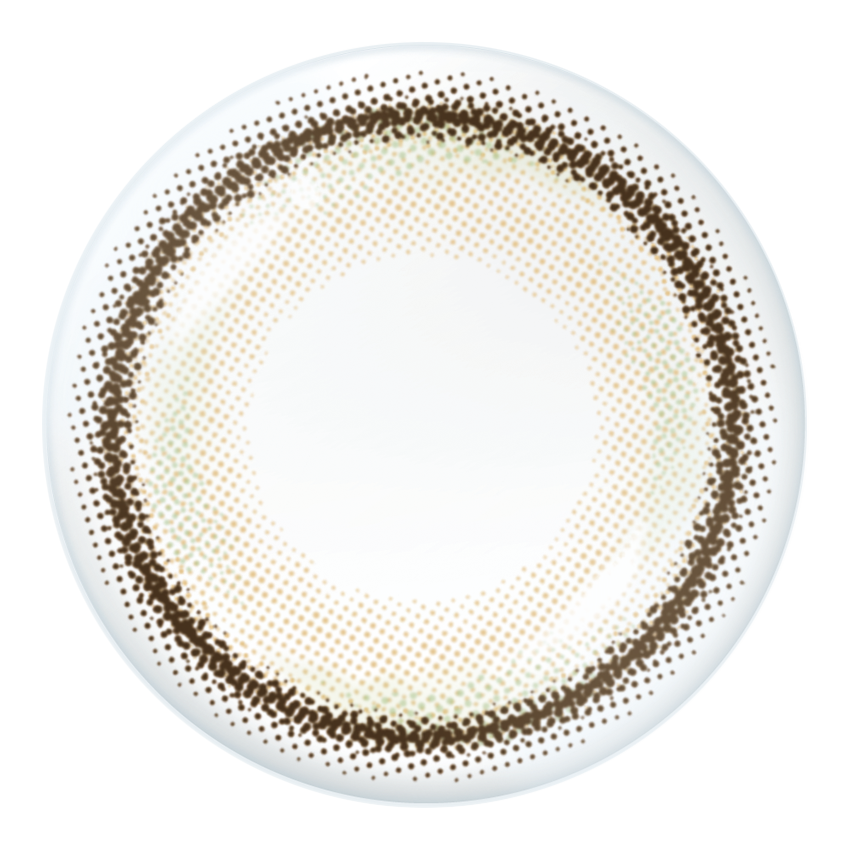 너의 반짝임 토릭 렌즈 [Neo Sight] | 1day 